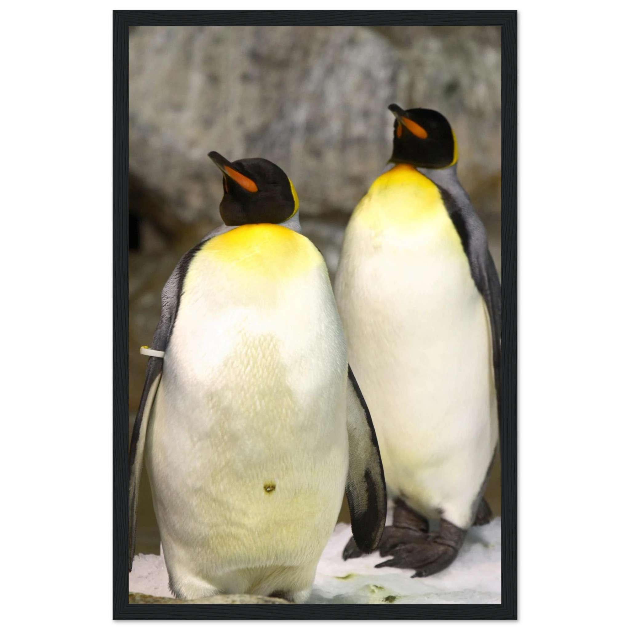 2f4f0ba3-8ab2-4344-ad3f-0d87c94f8194