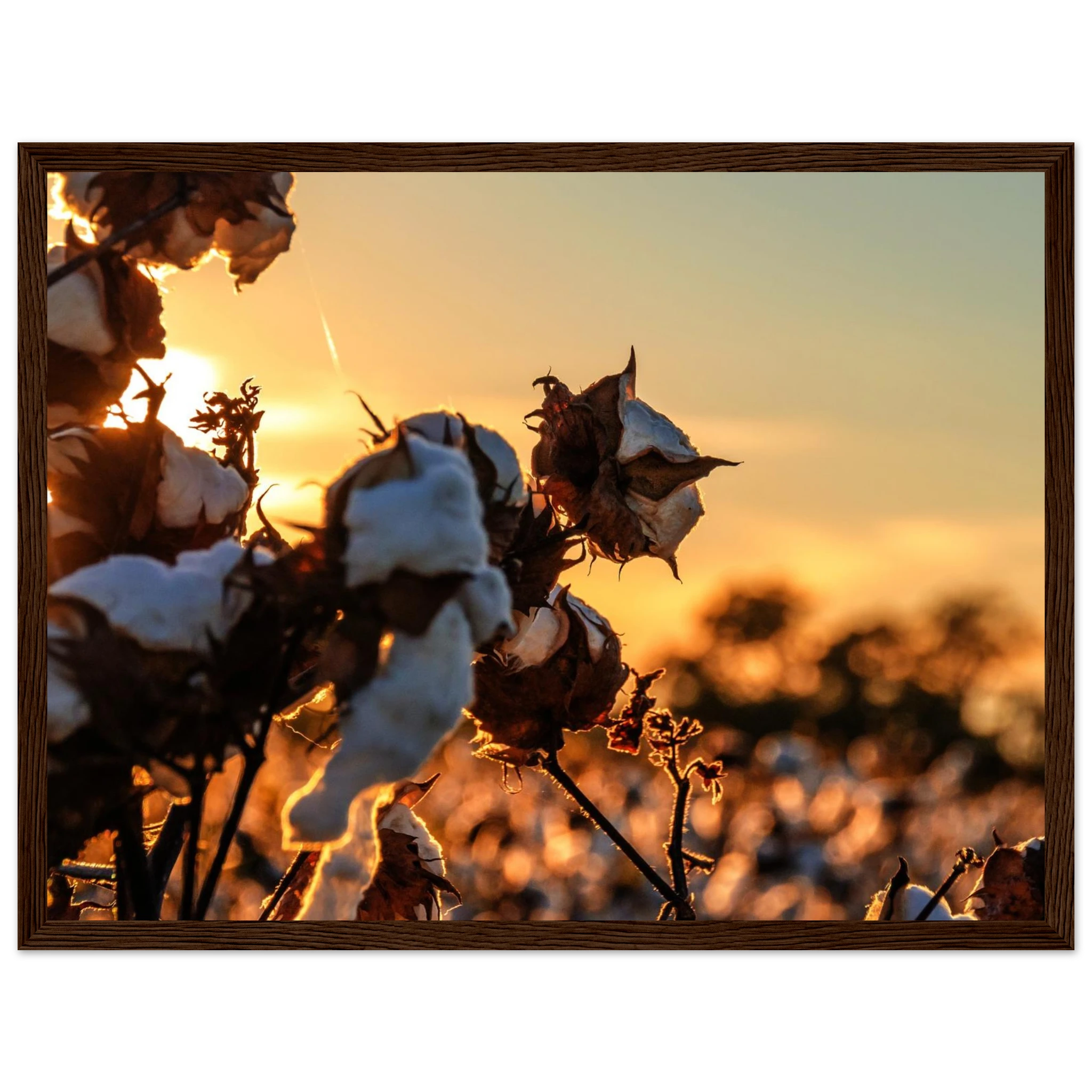 2f520a39-4add-4949-88a7-a963ef9a86b7