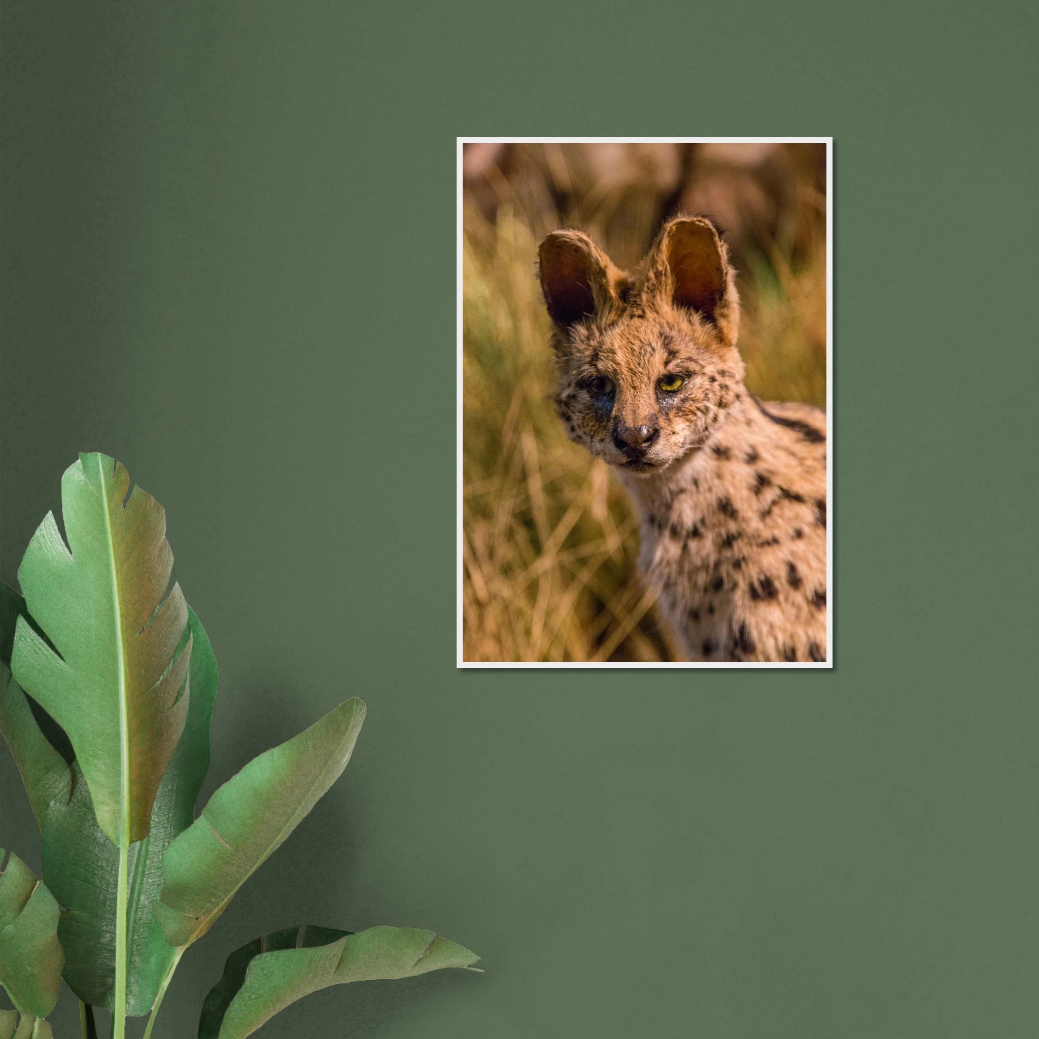 2f58c500-e9de-43fc-b488-9b87a596d18b