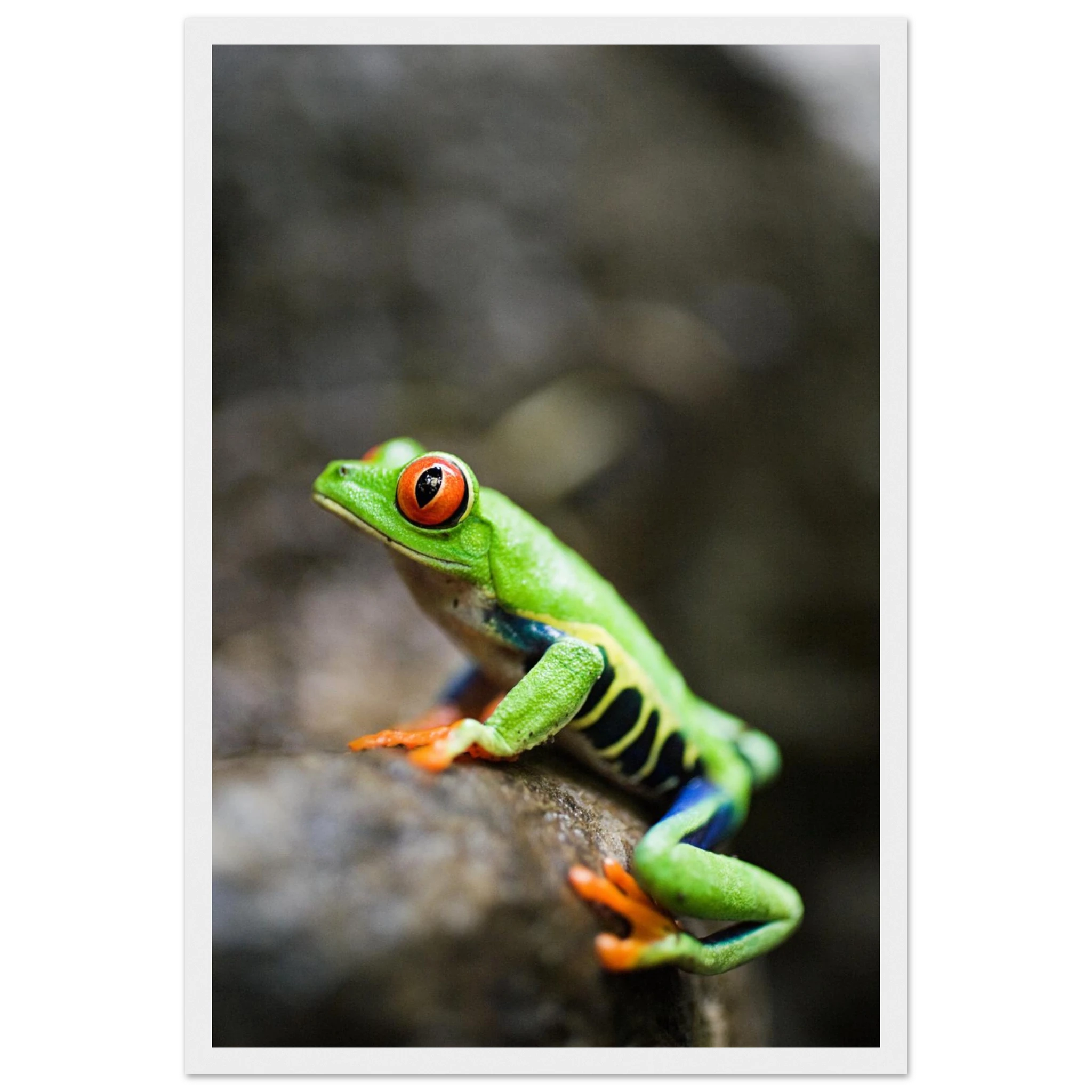 2f971de9-3620-4f6d-8c94-7f87ef2ee1a8