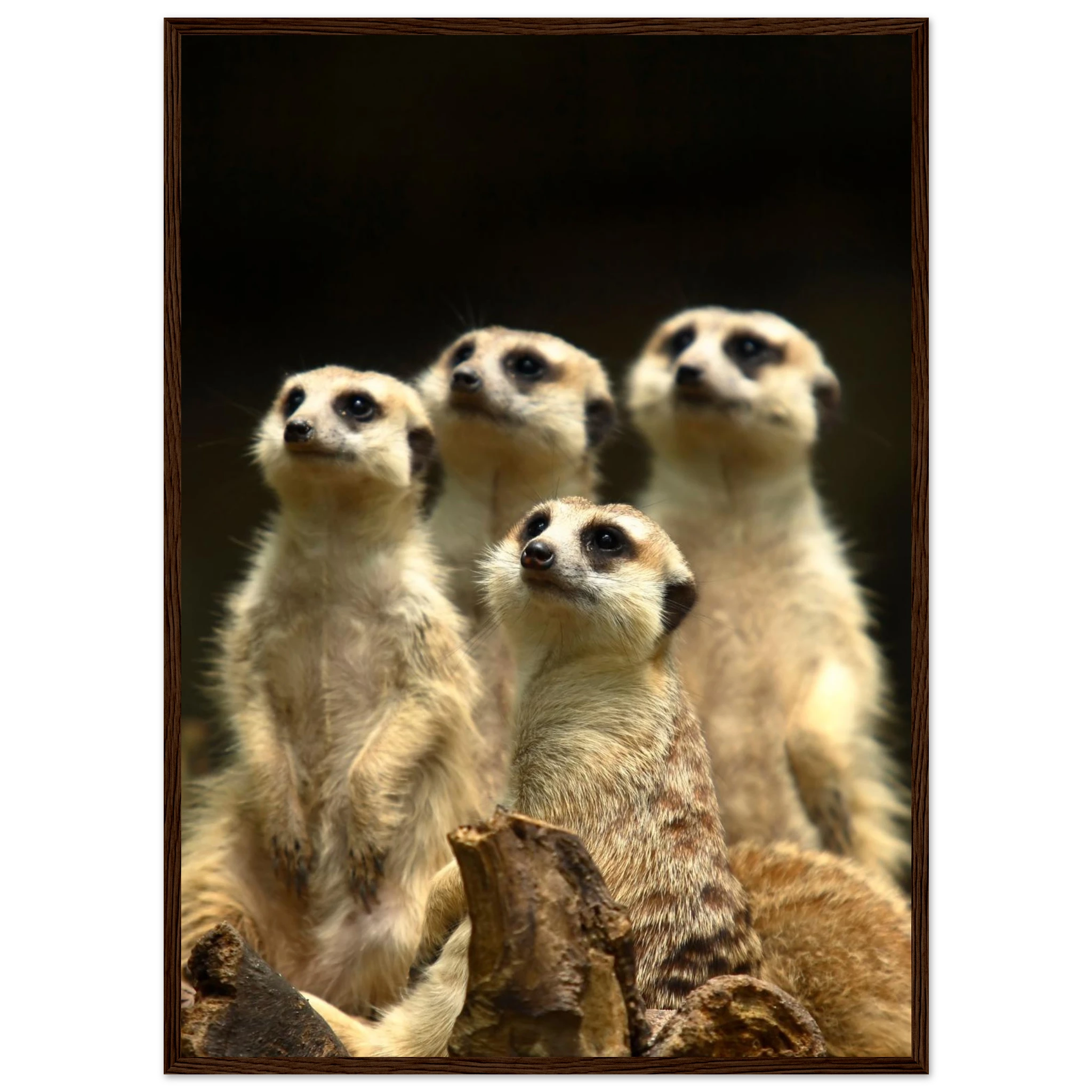 2fa84c5f-aa01-4828-96aa-c42439a00bc2