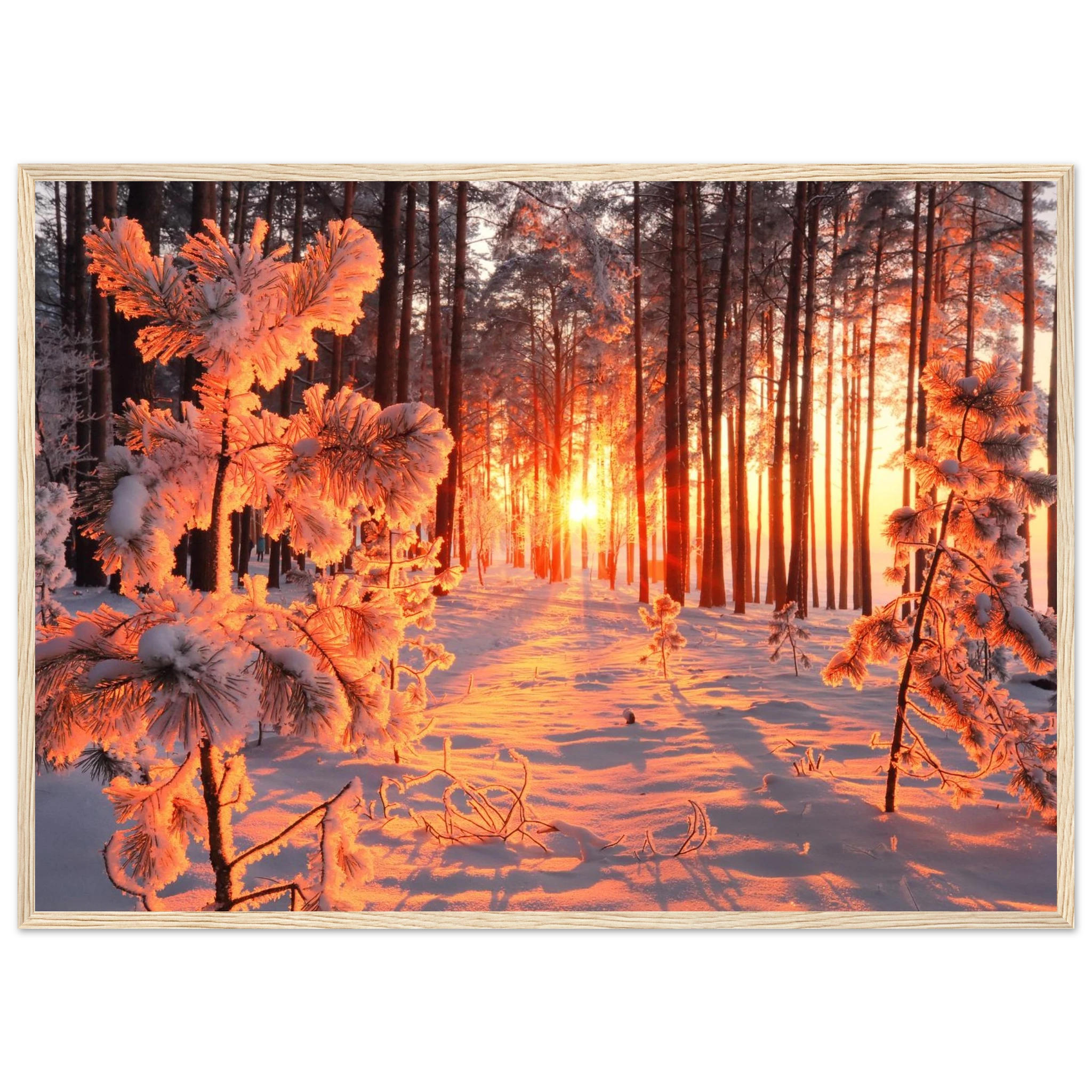 2fbe6893-fed6-48f8-85cd-589c35375355