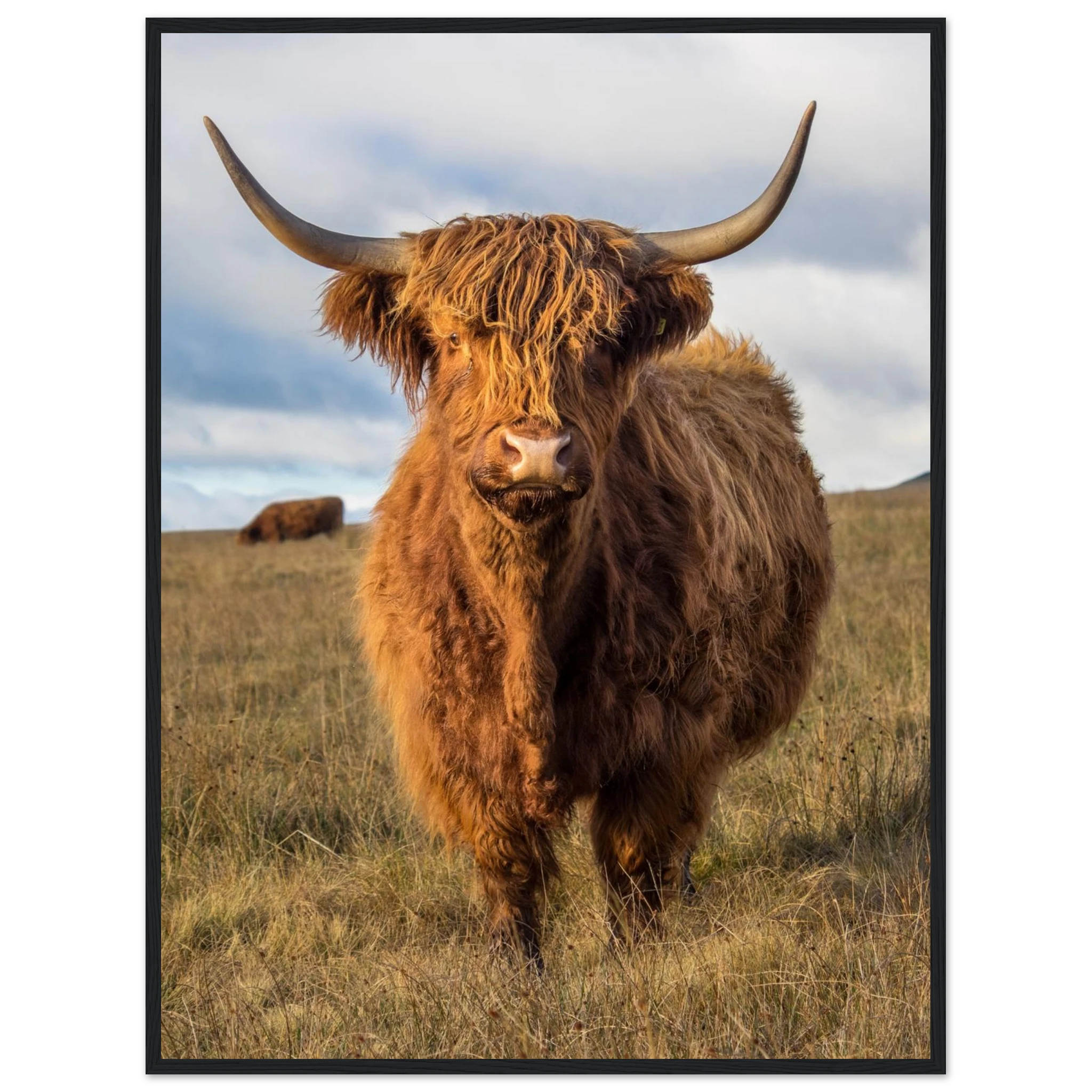 2fe6c2a5-56e2-43d8-b757-a1ca285c9abd