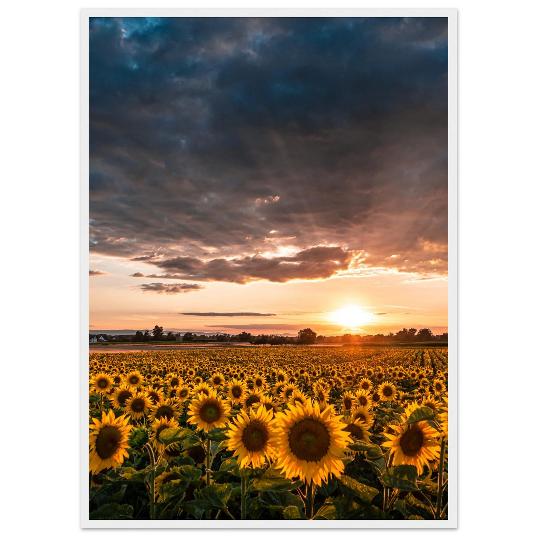 2fe94091-2474-42d4-b87b-03d4ae72f054