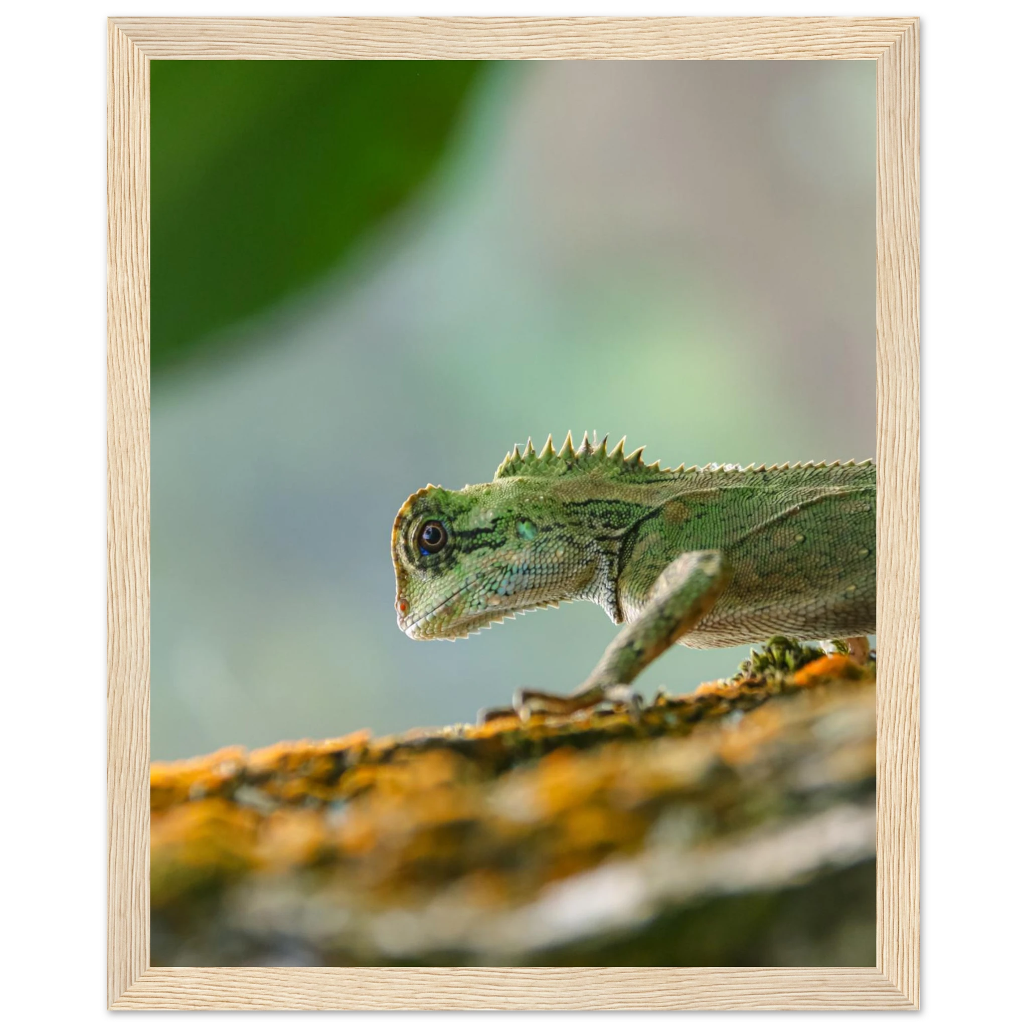 300ba036-aeeb-498b-9092-c0134cdb3833