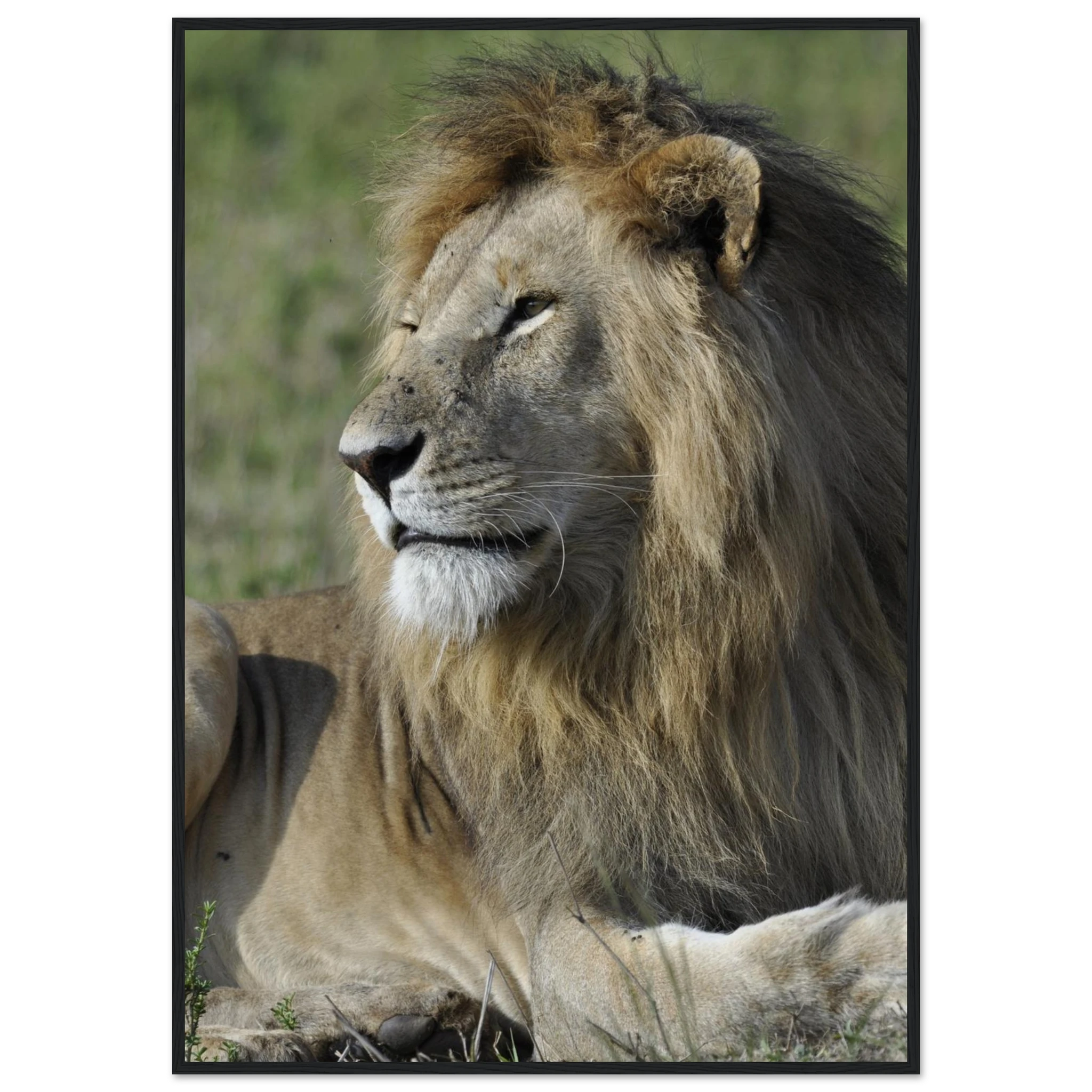 301014e7-cad1-4722-91f9-3f5f54d70fde