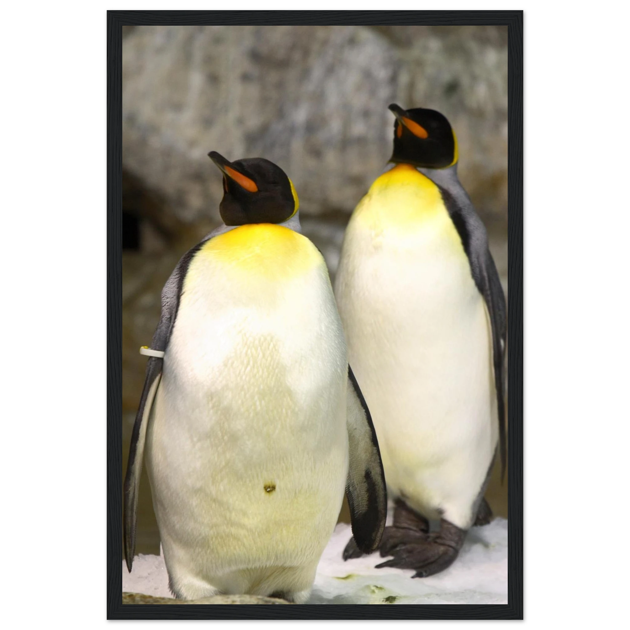 3013d0ba-6143-4928-a839-aa09f9351d2f