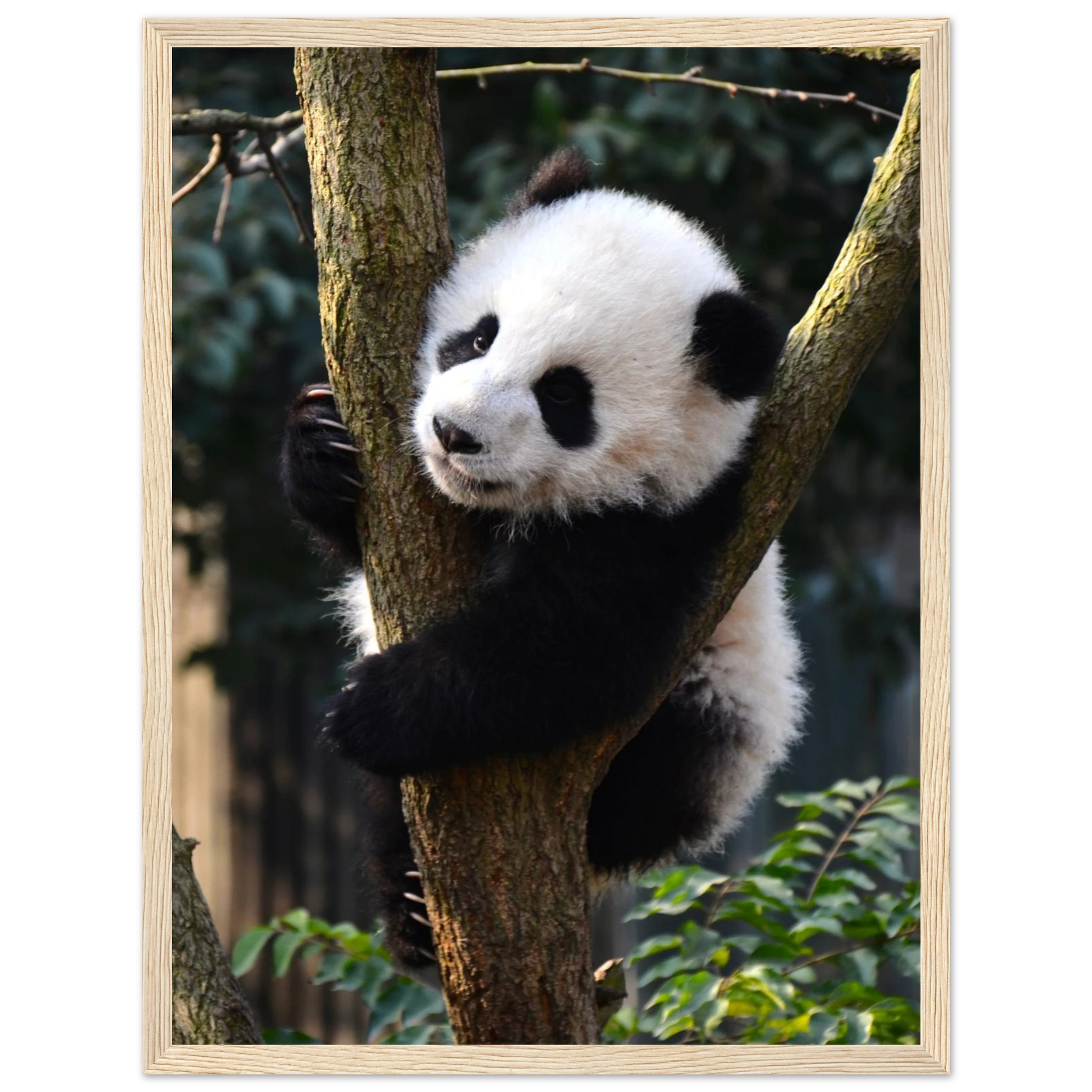 30194bcb-0851-48b3-a787-56d0137c3596