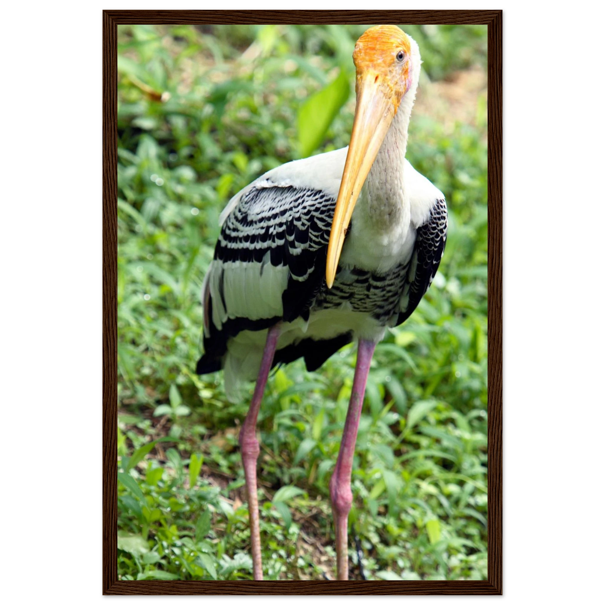 304046fc-7cac-4fc8-baa6-8853aa2cbc0d