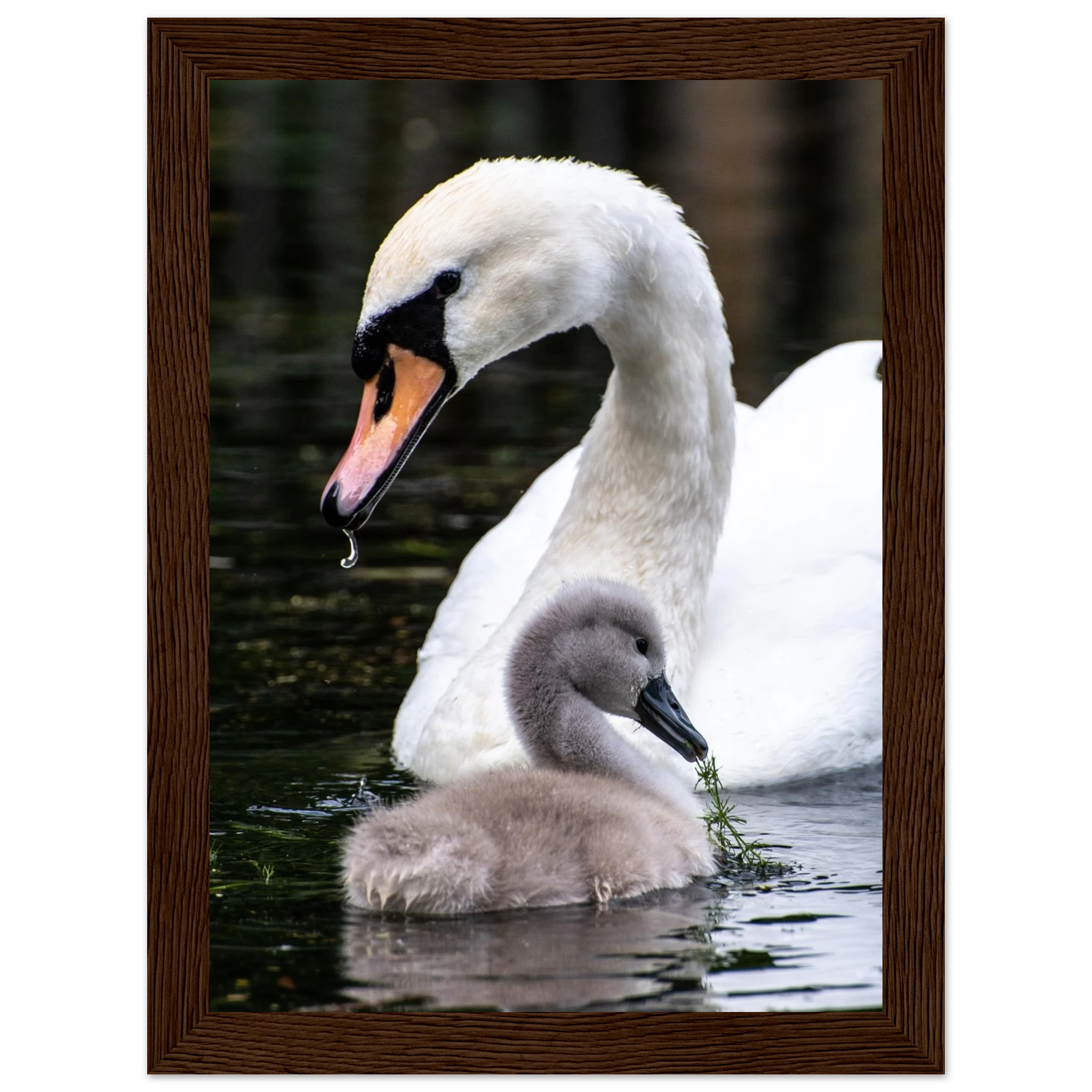 30683b6b-7ce5-4132-ba17-a35ec8e697ba