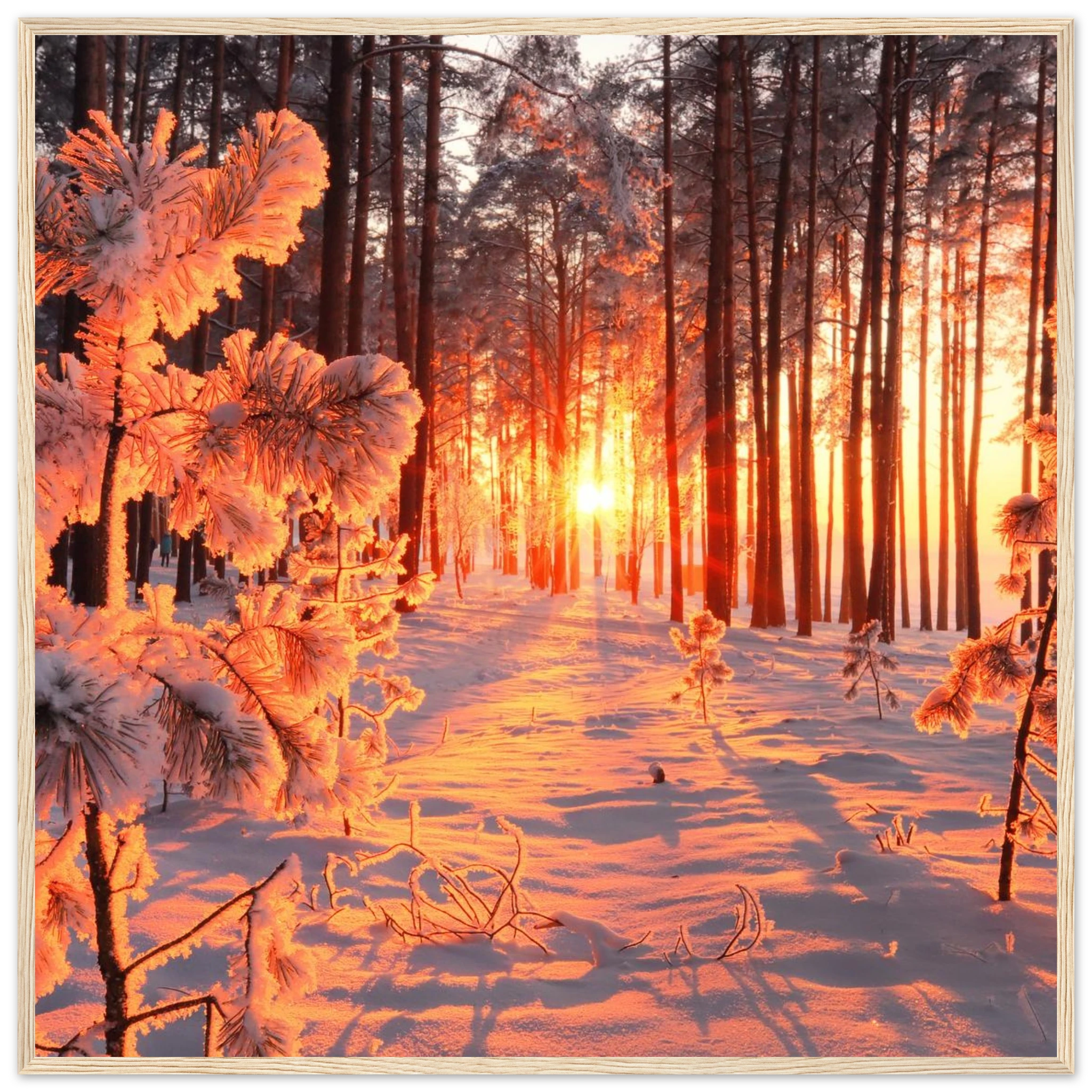 308c8346-7844-442b-9b73-4bf5bcd96df1