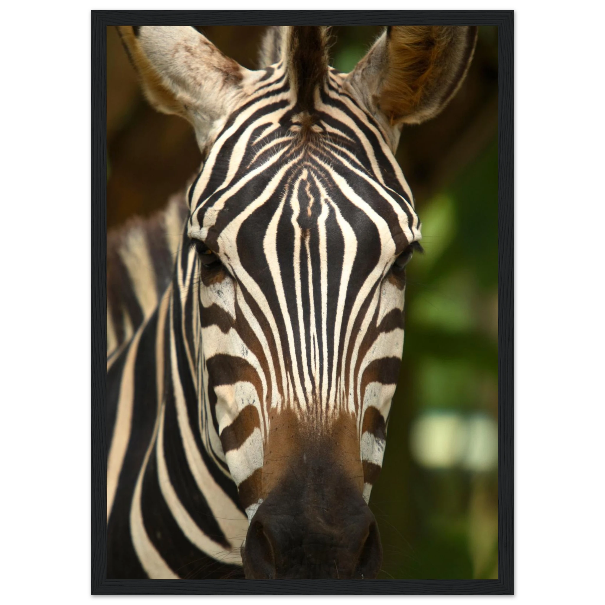 308c8f0a-2d49-4ca0-833e-38e524d7ad85