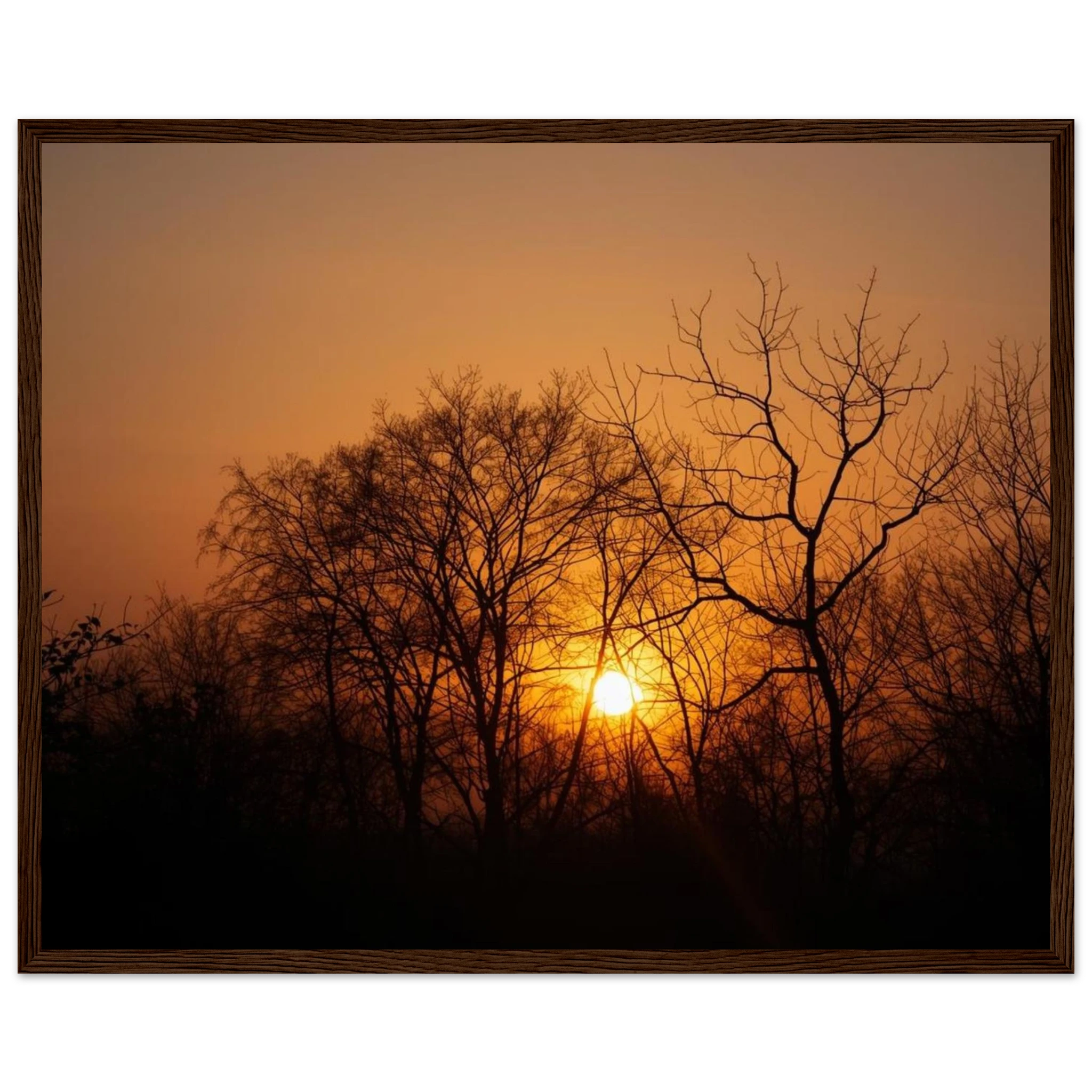 30a34fb5-0cbf-49d6-b15f-8b364bc4287f