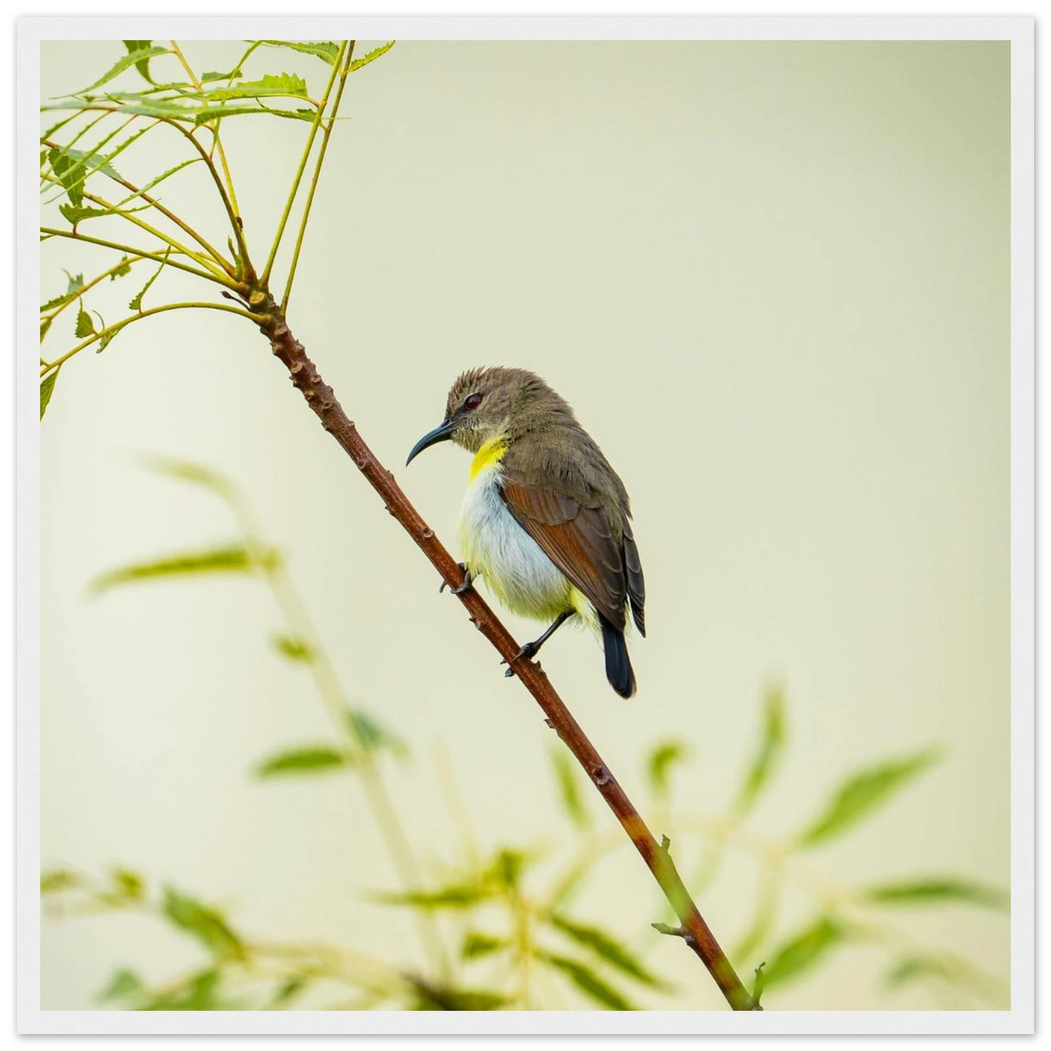 30ac210c-a3dc-45d1-932b-5a1a7b932693