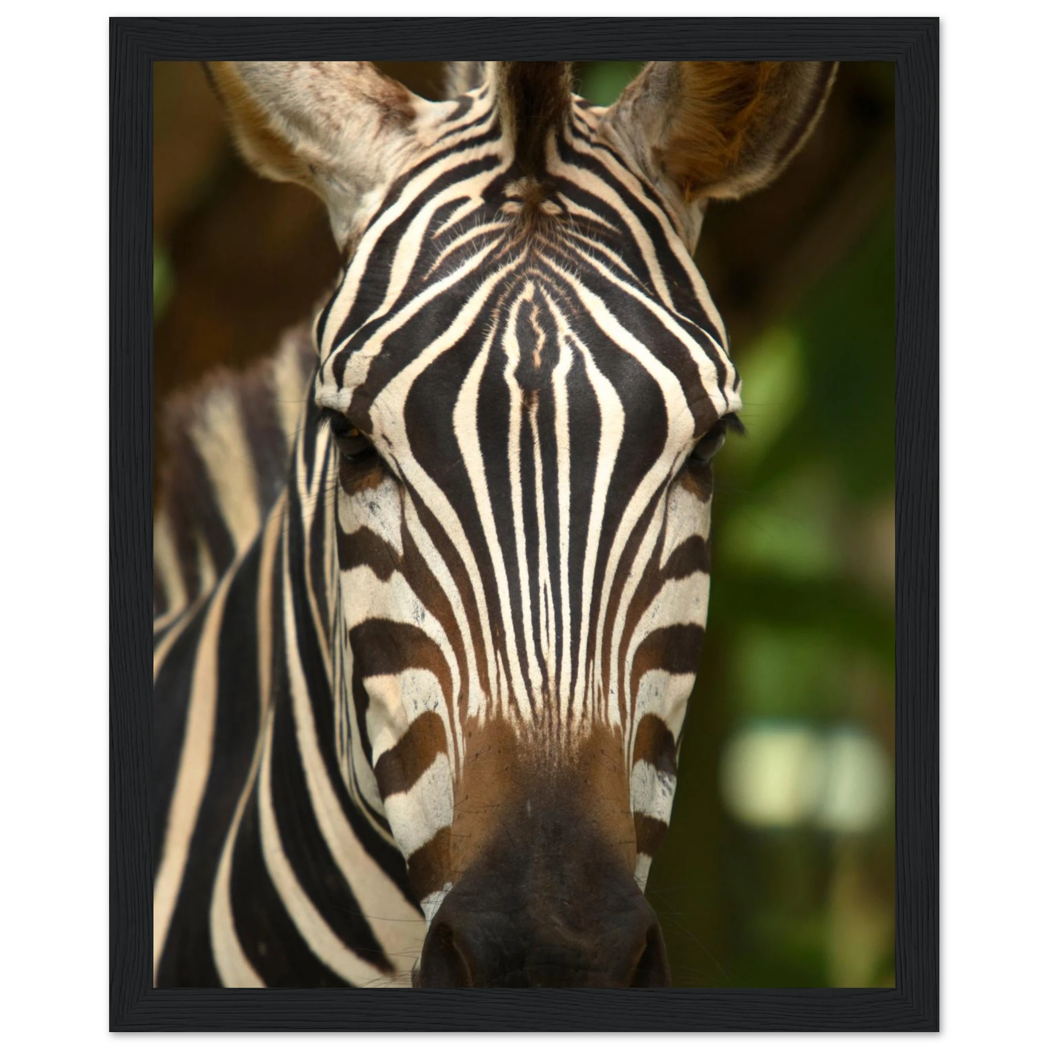 30b5ccb1-843a-4f57-81ce-fbae4276148b