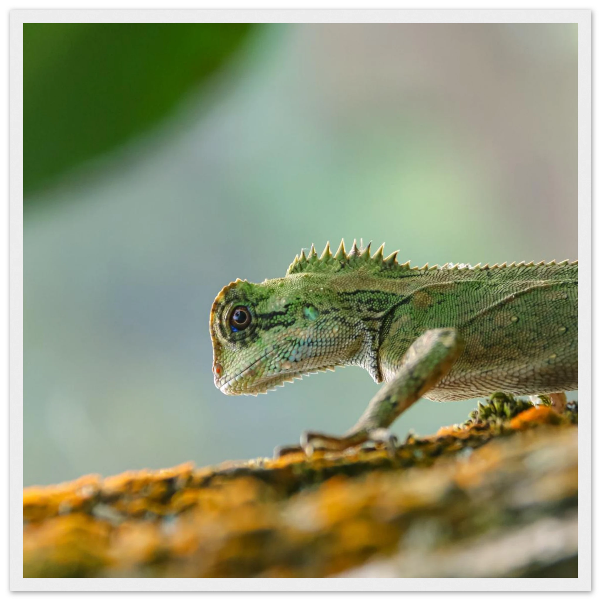 30bb61e7-ba3e-4d34-ae02-b2aa9ed4f4d1