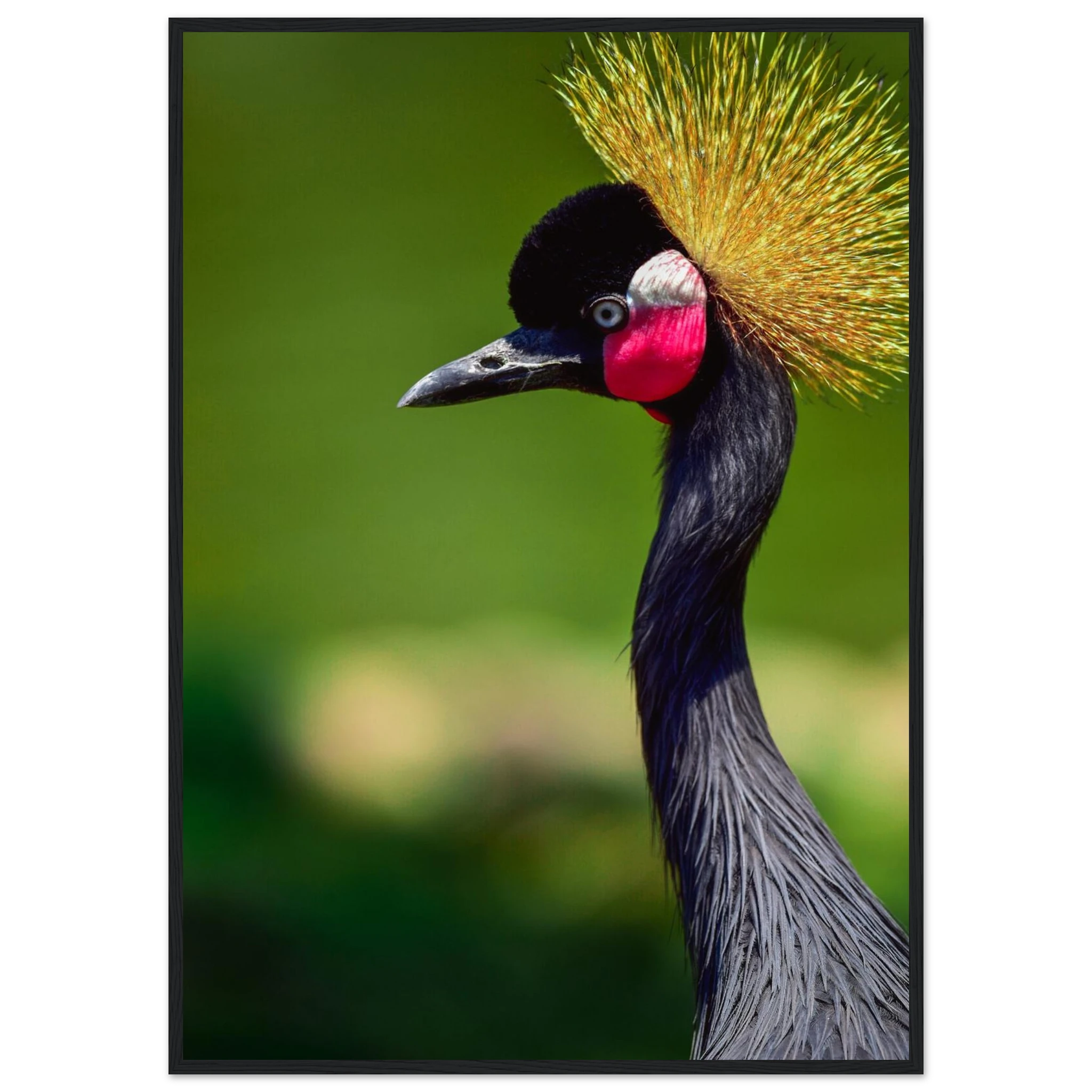 30e1d5bf-3f12-41d6-822b-9053040d2ab8