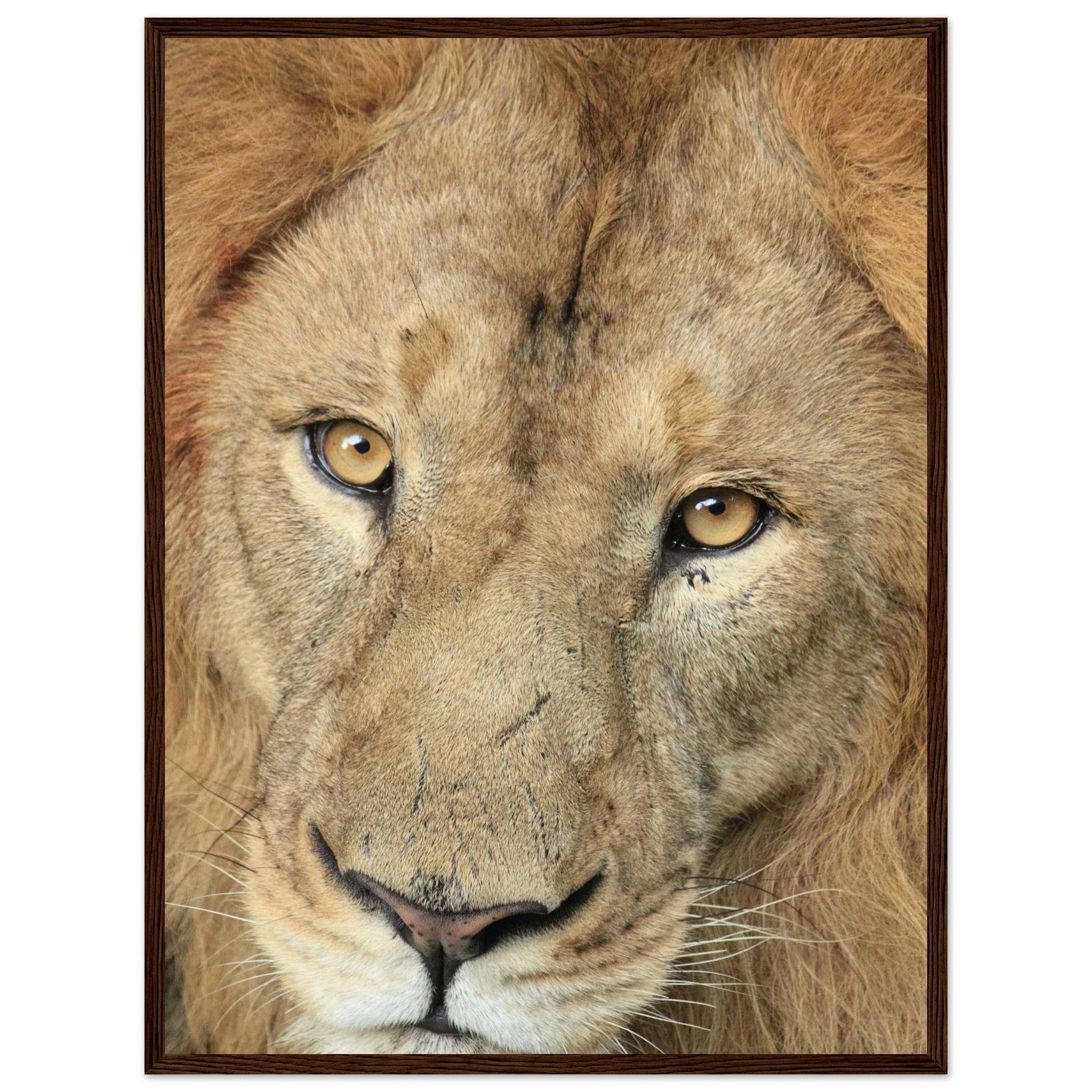 30f48ec6-eabb-43a5-a7ba-2ffff4985a77