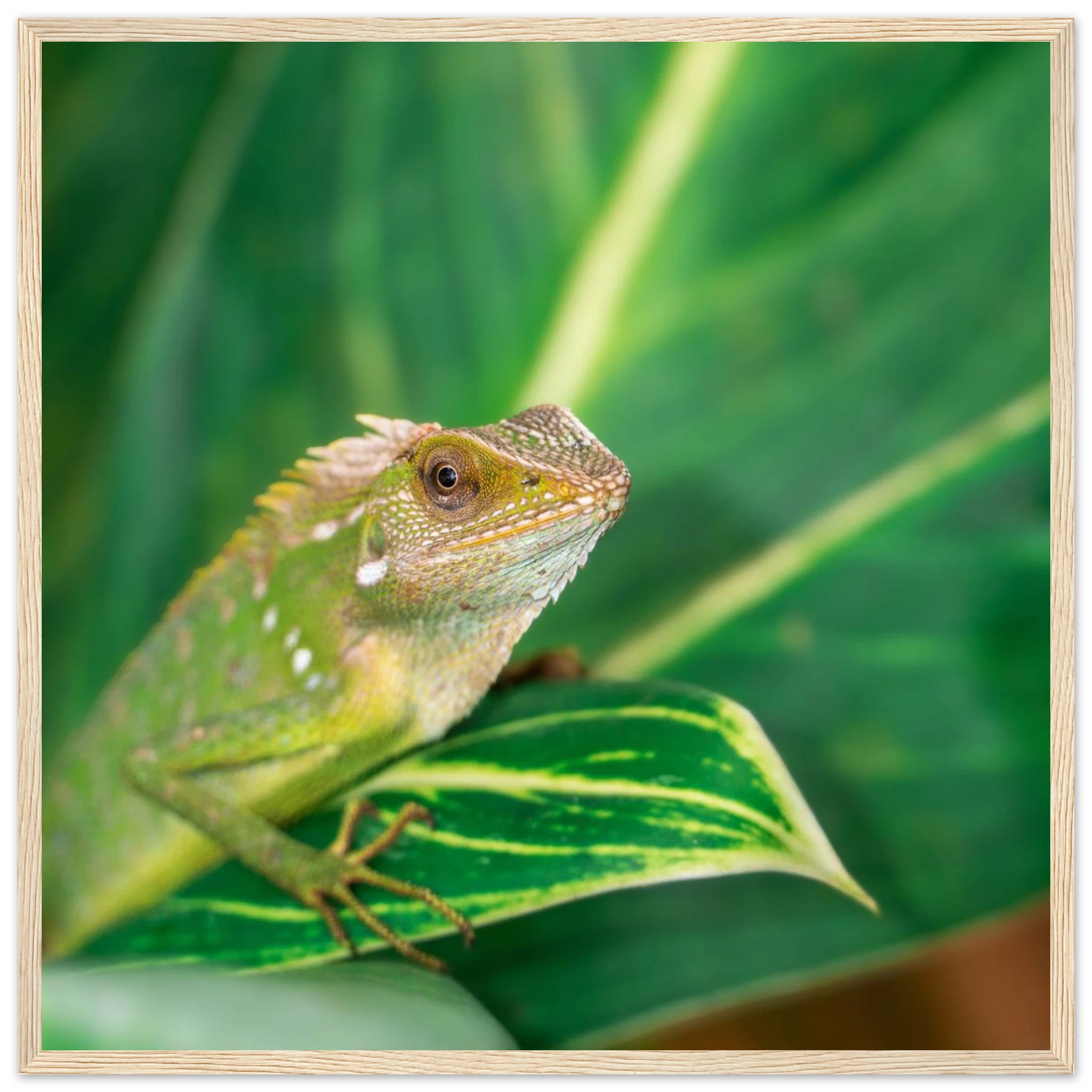 30f75404-eff5-4fe6-9deb-746d0490c31c