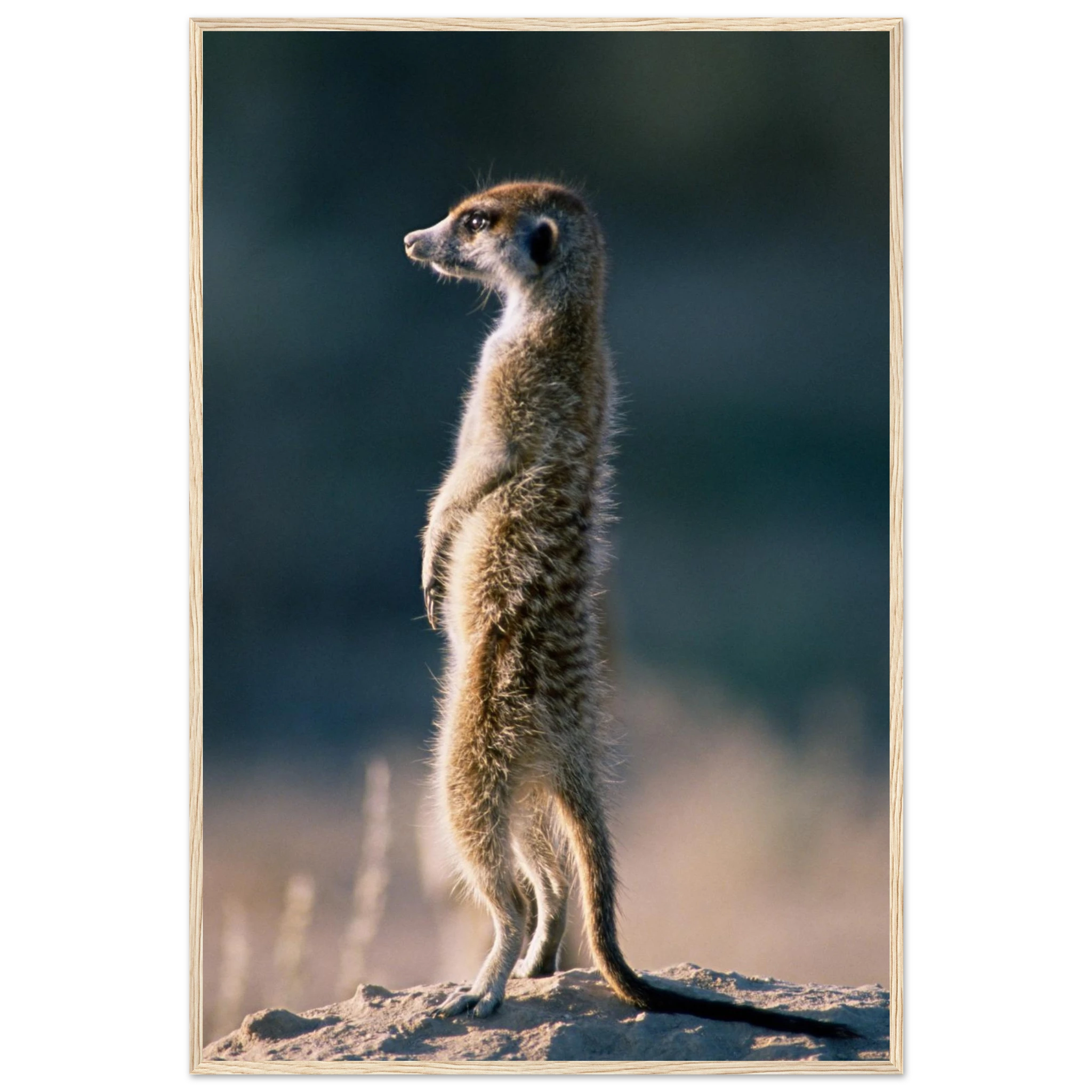 30f81324-0b77-4bcc-bd27-0a3d37949393