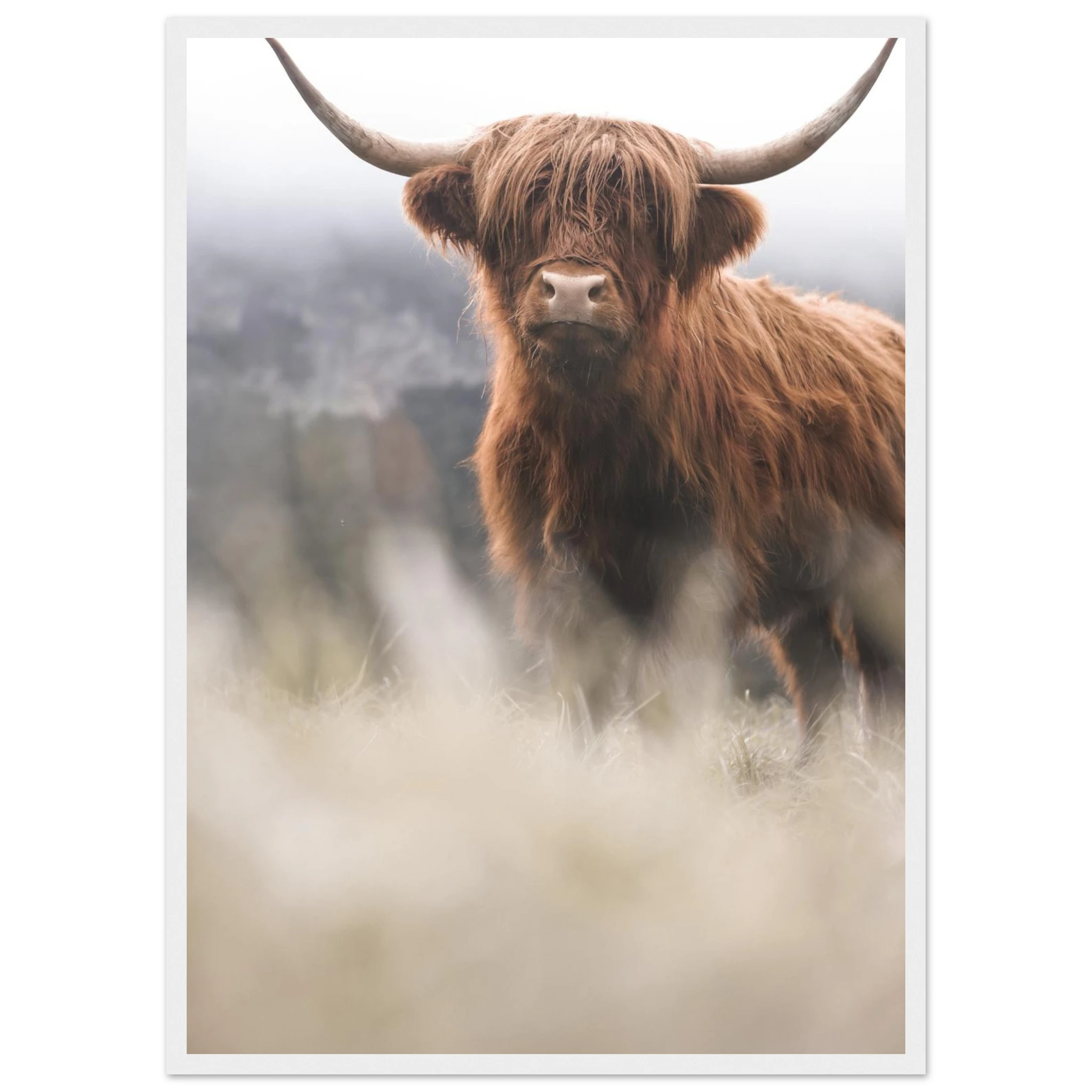 30fc6eff-3b5f-4eaa-8467-f5a679e47c19