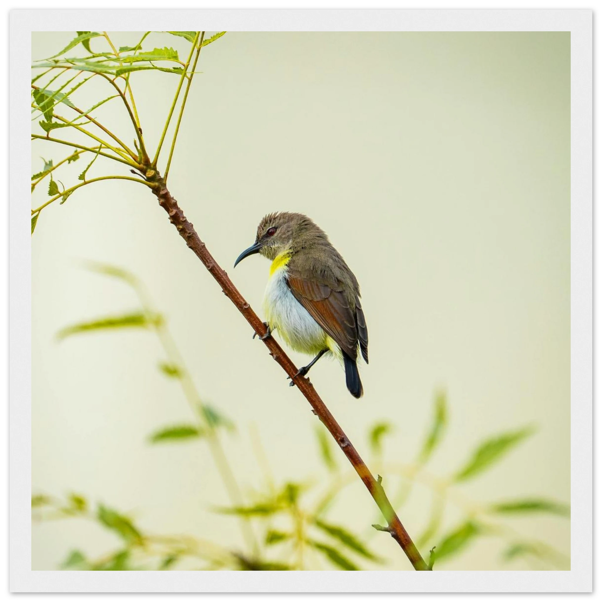 30fc9ea0-cb3c-4887-8393-41edf300ba64