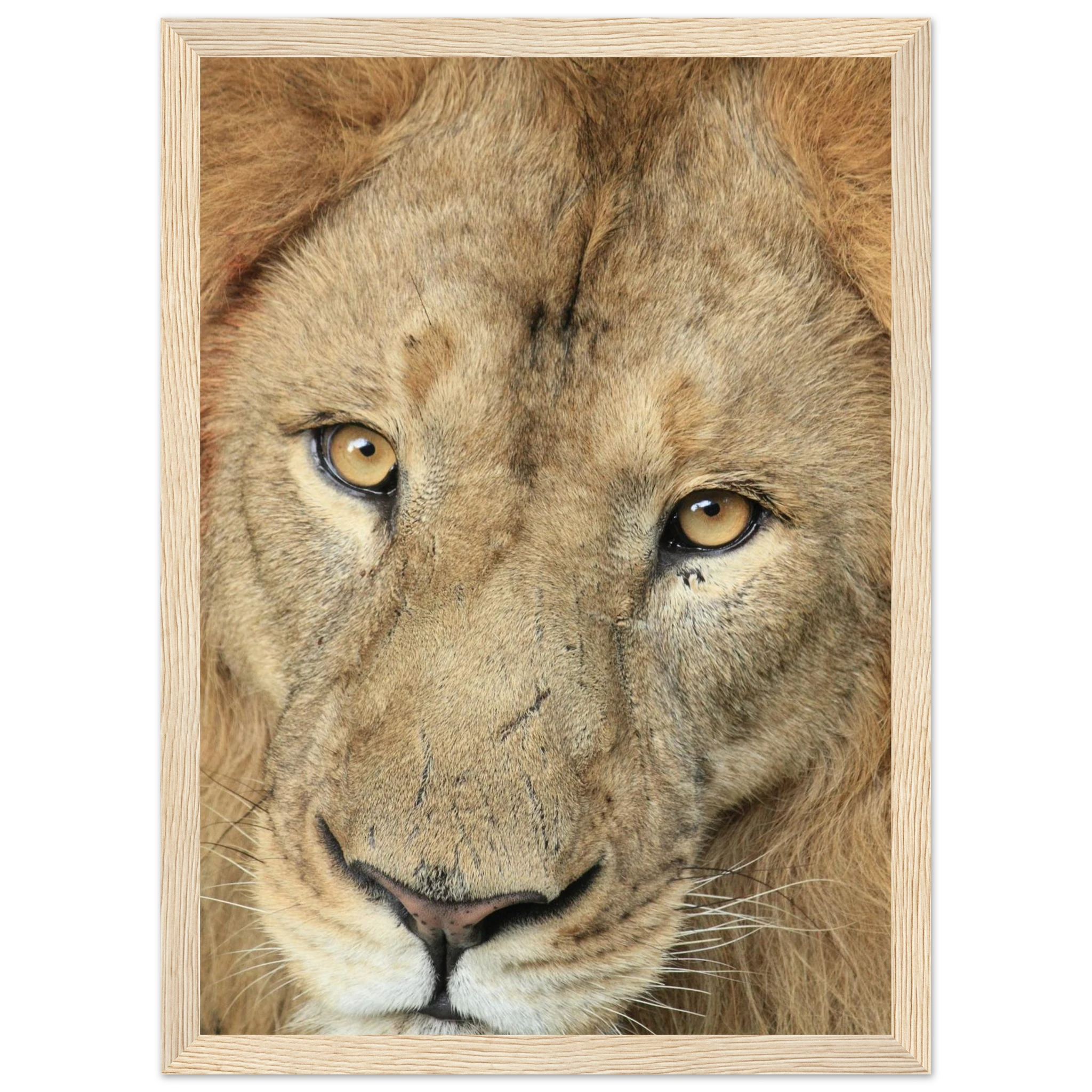 3151ad66-987b-4717-a18f-e3e2199e649a