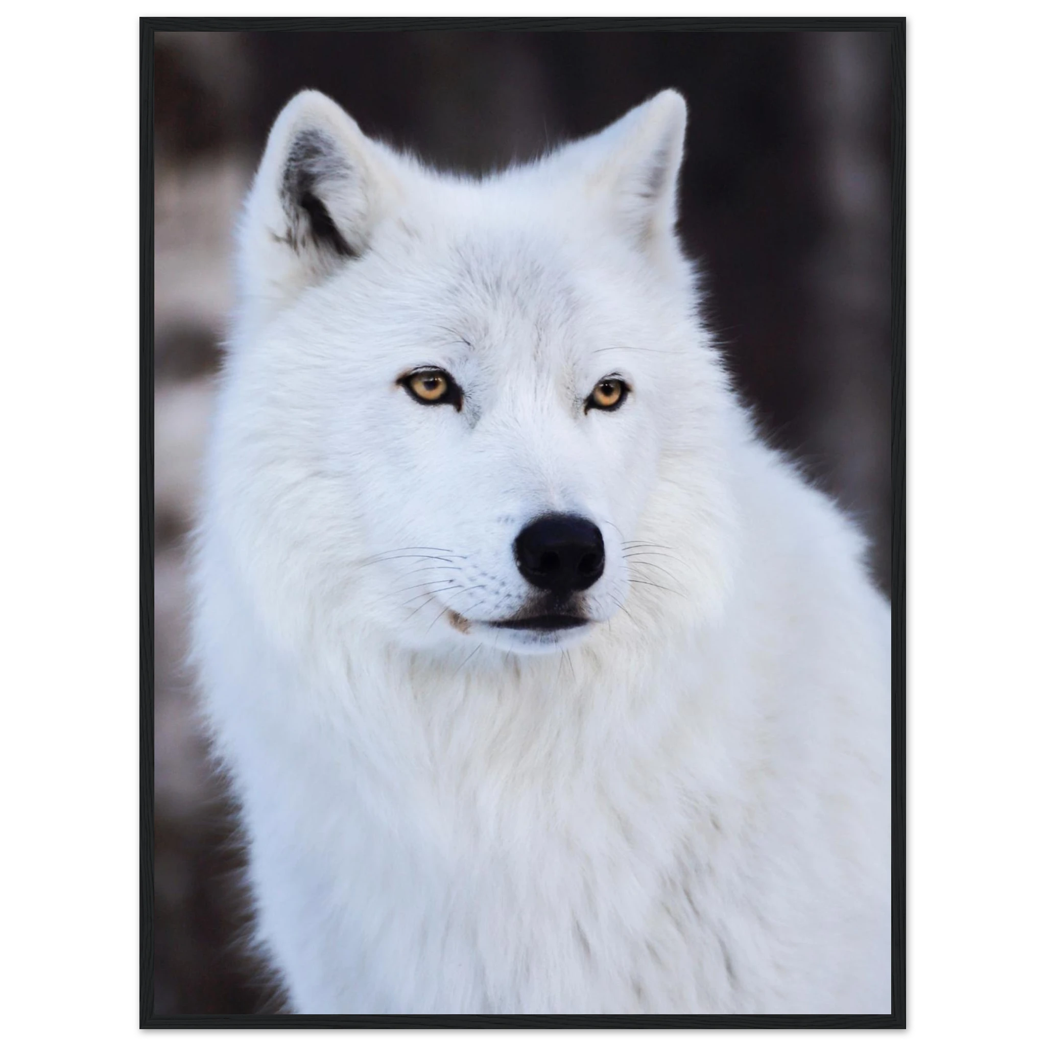 315afc5e-2e25-4c8d-97ba-47af628d3cb8