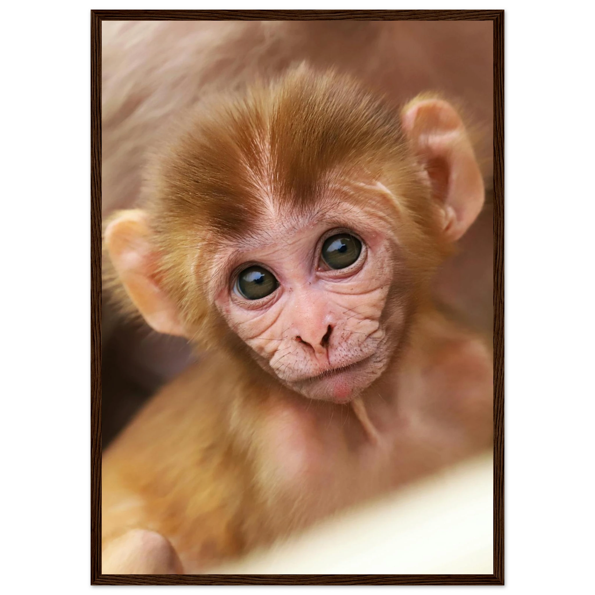 315b4f72-1f8f-4431-8e42-265ec299fe9c