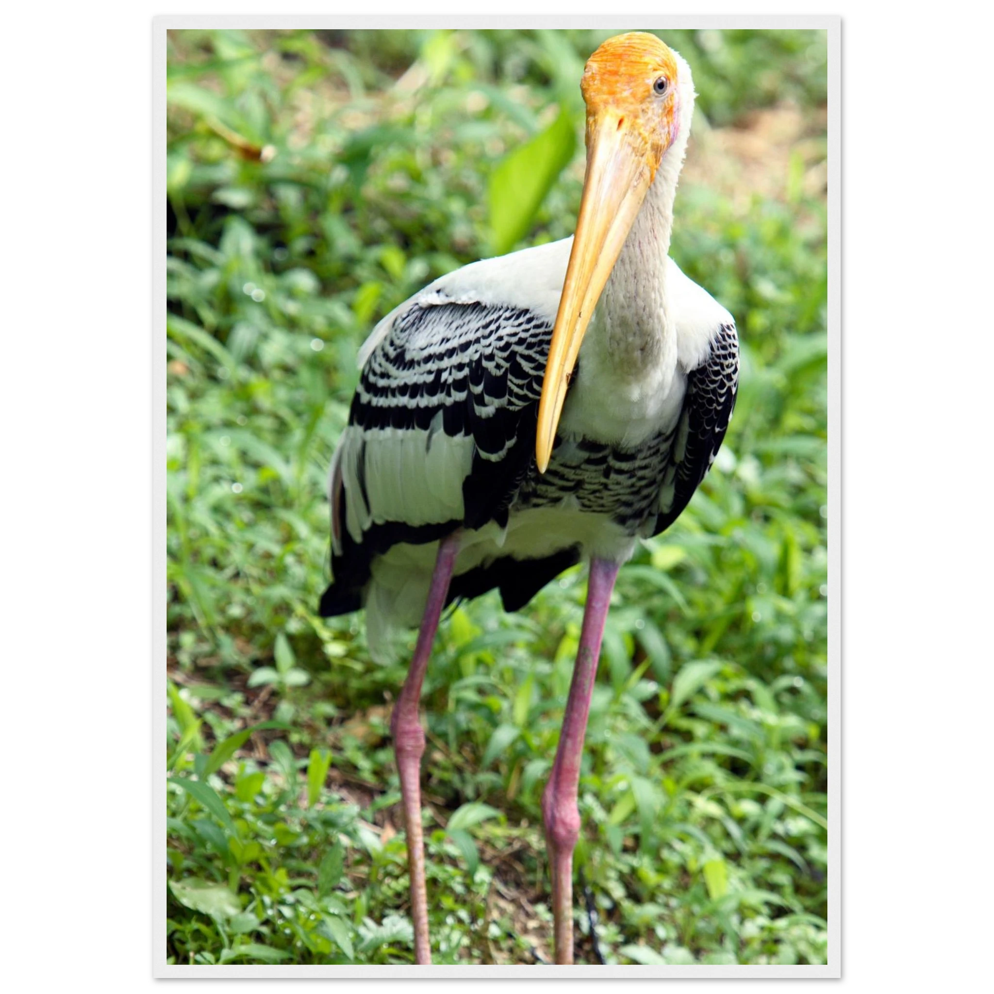 3166c830-978e-4ae3-abde-afc30aa1019b