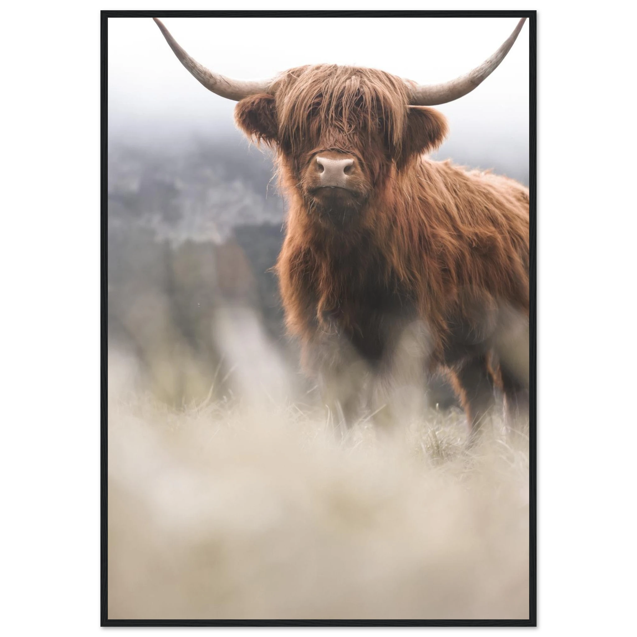 3193c6d0-5e5d-4205-976f-b86c48328723