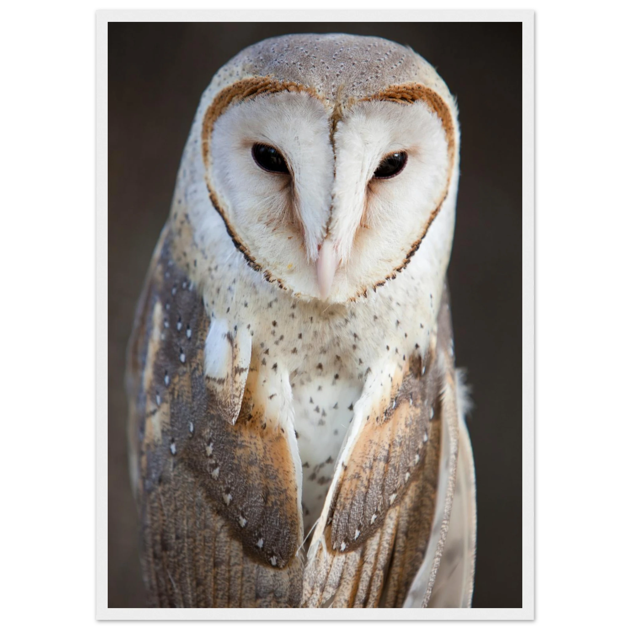 31a292aa-9e30-4baa-b4e5-aa04c3d396b5