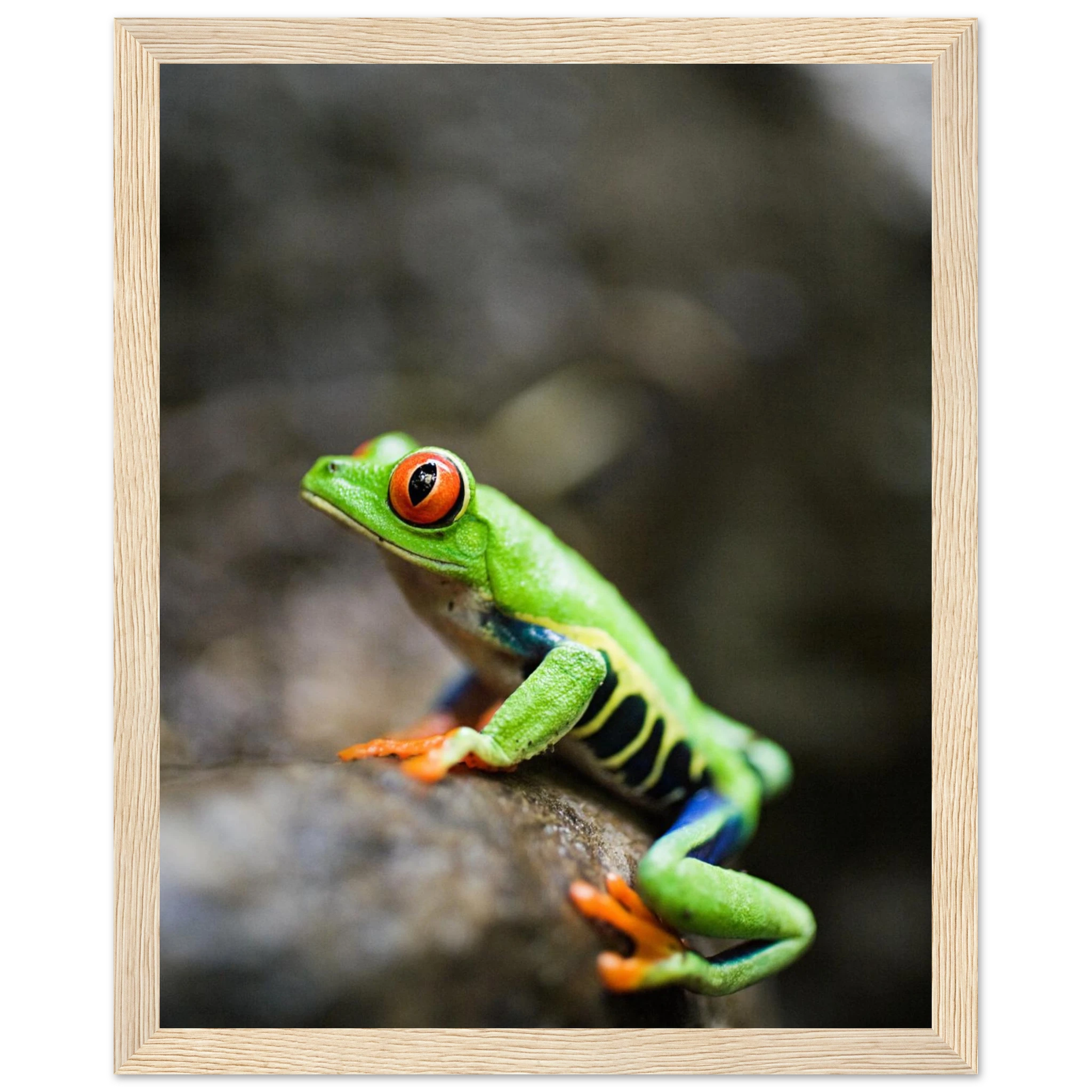 31d4eeed-a5d9-4aad-987b-54792185860e