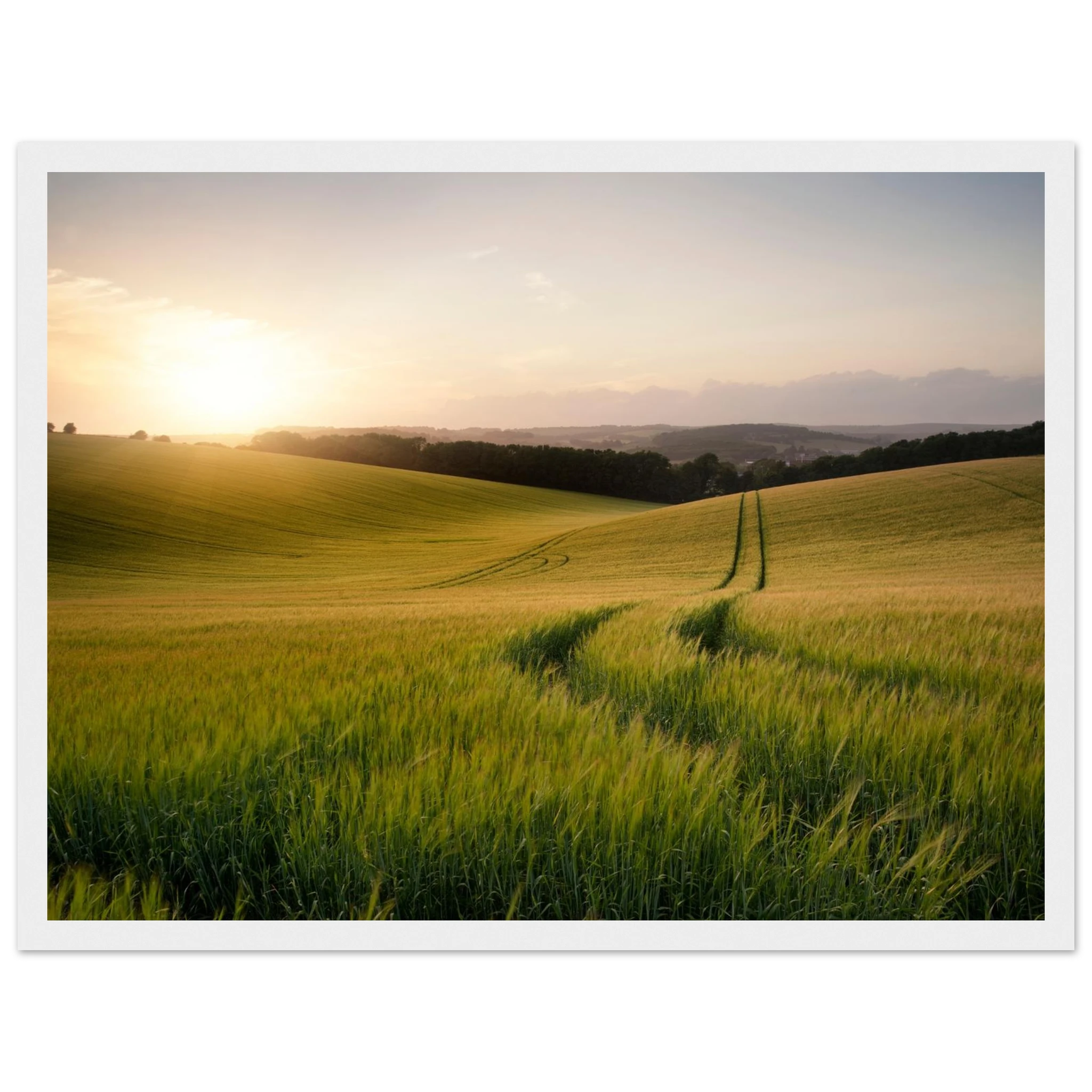 32124dbf-f224-4266-9c66-2e9f90c71def