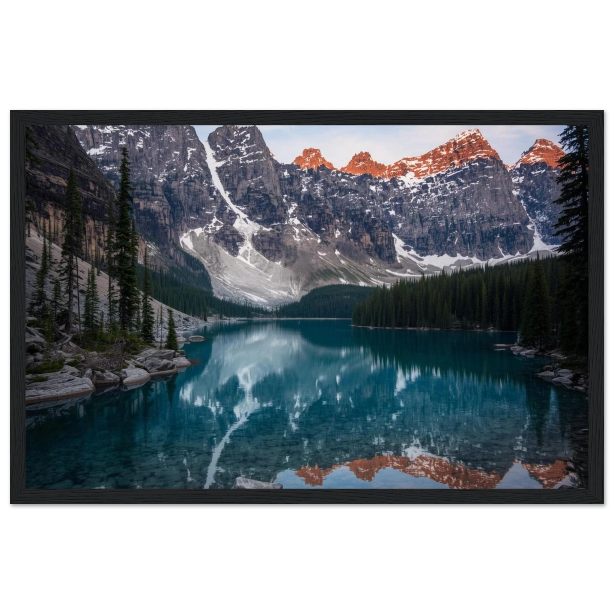 321539ef-a779-4050-bb77-15dfa2097b06