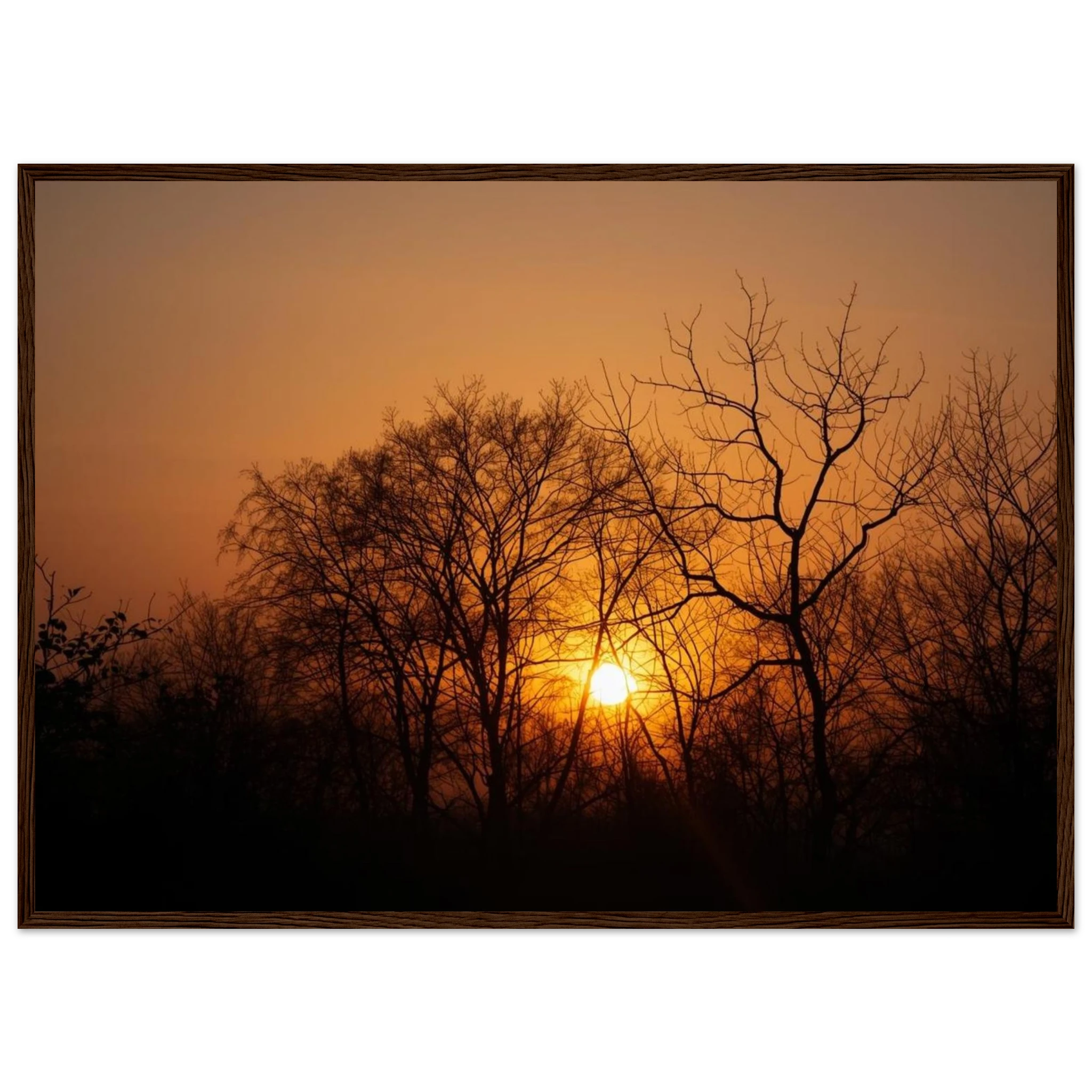 32199408-d3d4-4632-b219-cb4c7cdf6bbb