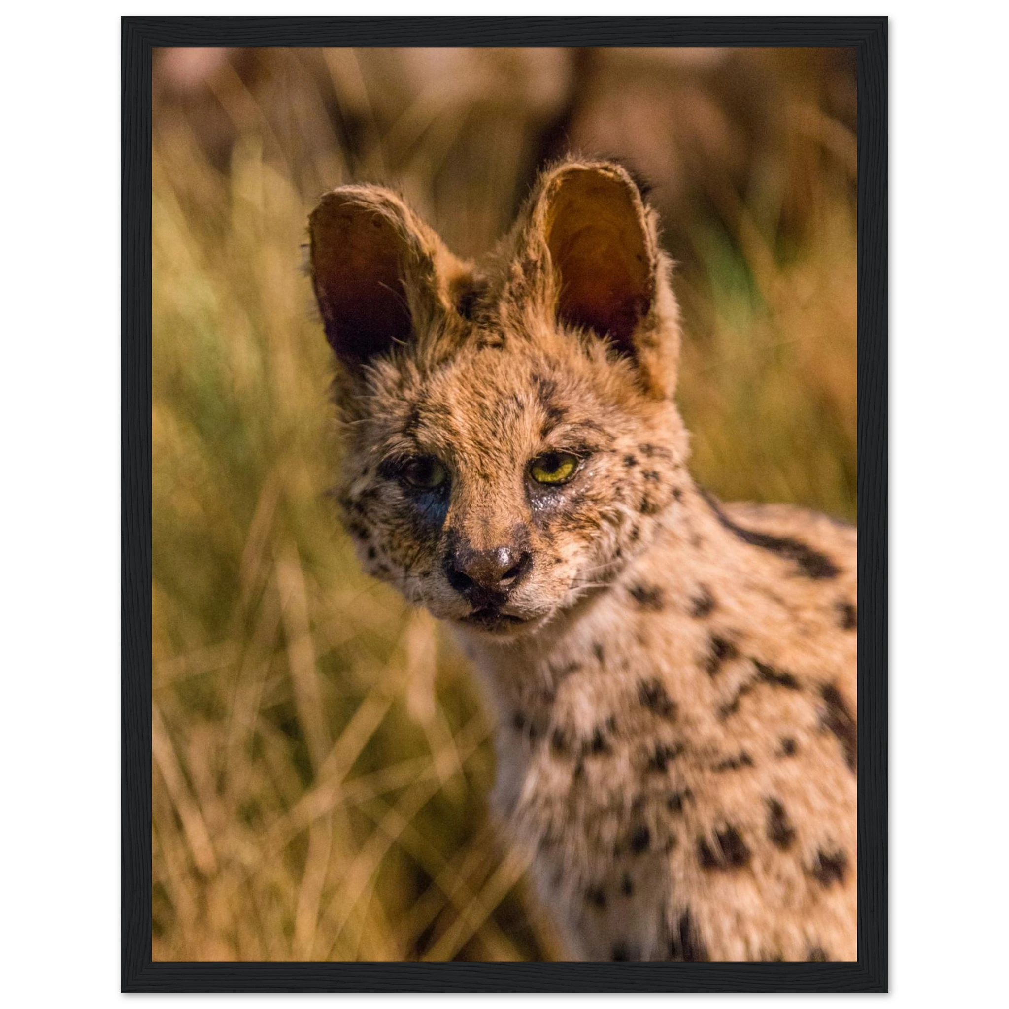 32228cc4-86c2-4486-b8be-22f097e9551a