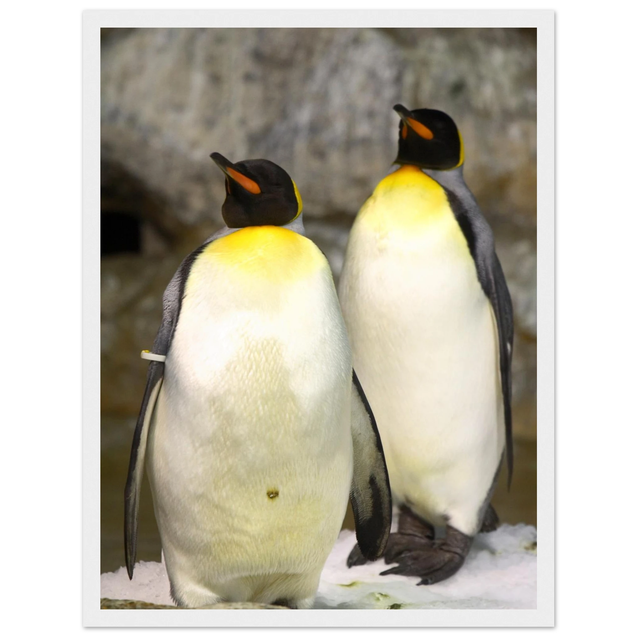 3229d3e6-24d1-4088-8d9e-bf0874aabcf2