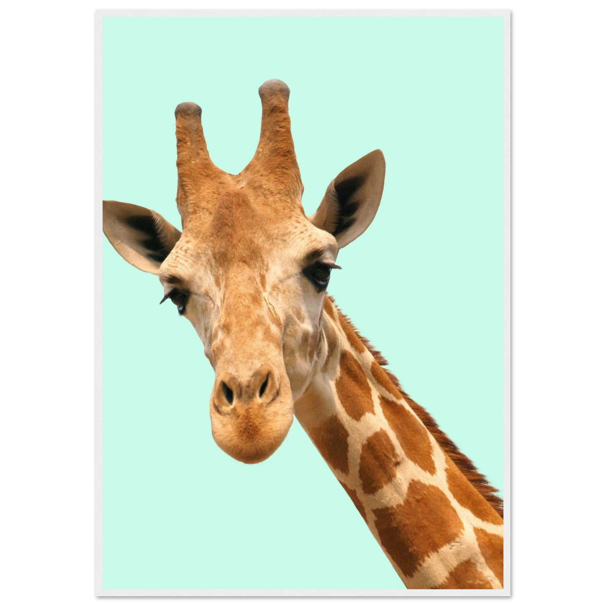 32470a02-6f02-45ed-ae44-dc4ed75c4edc