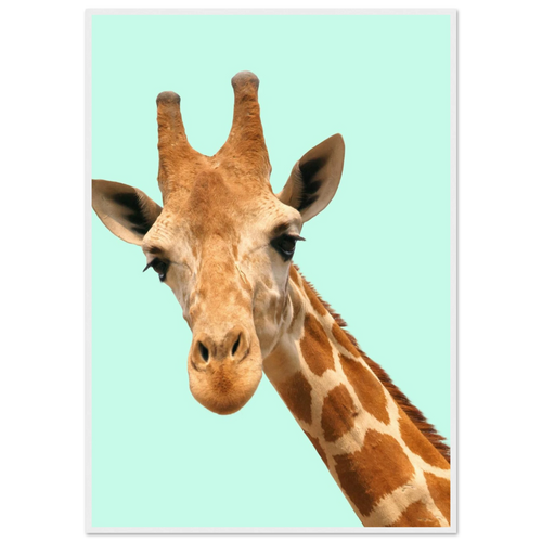 32470a02-6f02-45ed-ae44-dc4ed75c4edc