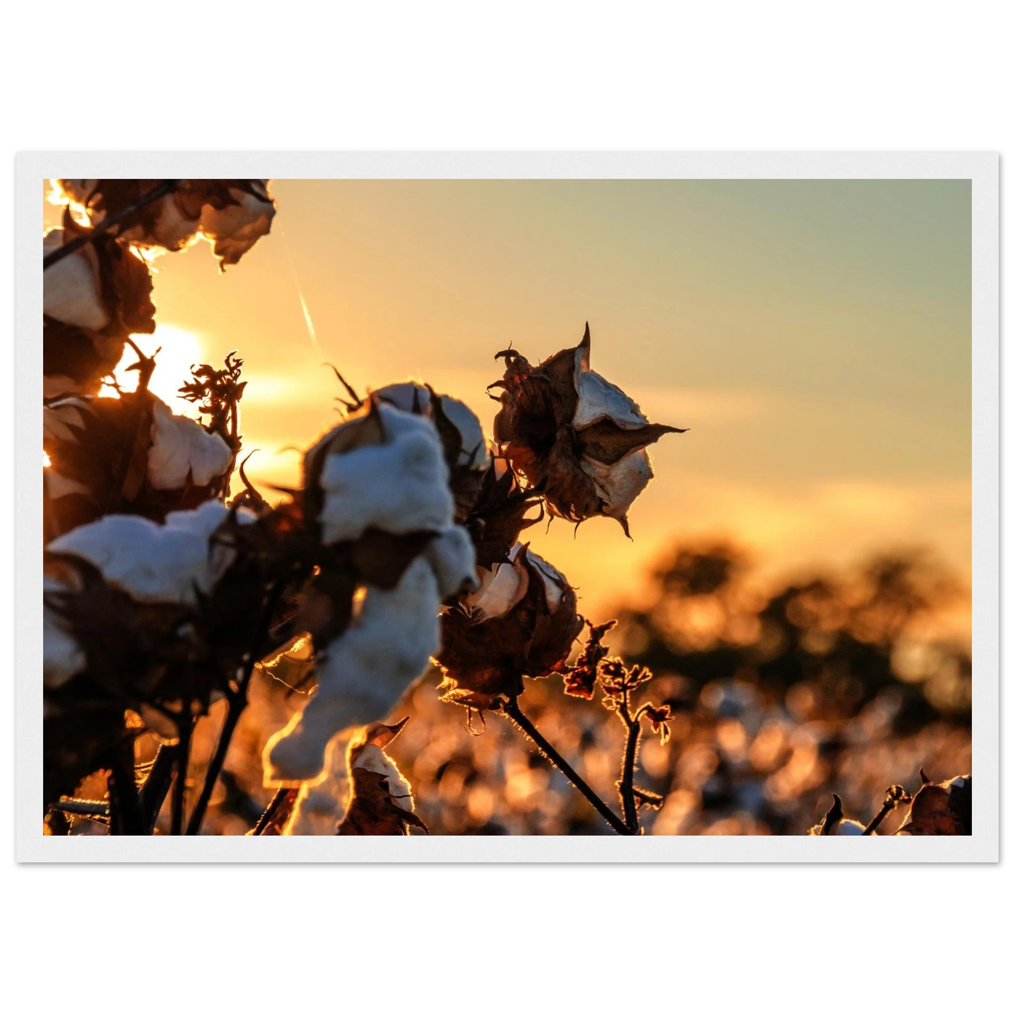 324a203b-767d-46de-8816-99cbbf1d51ab