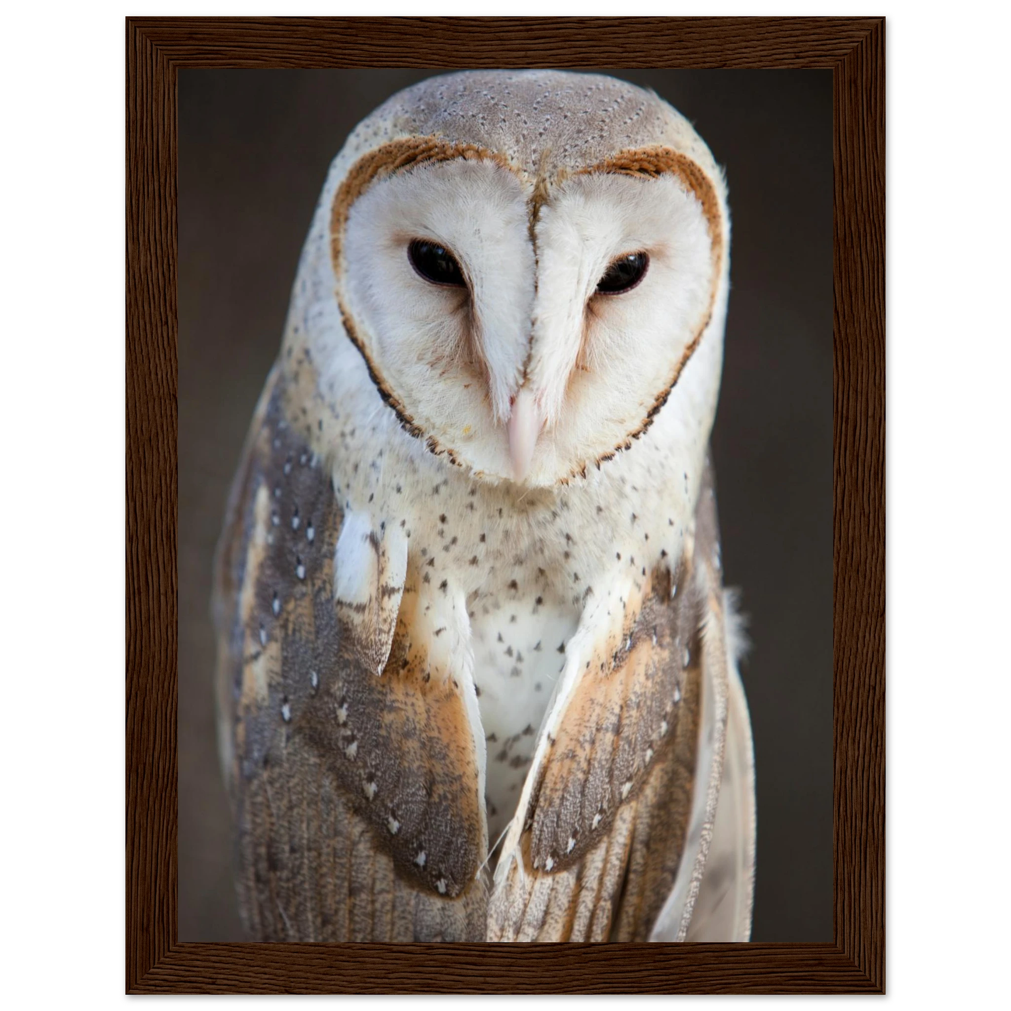 327beb62-bc2b-4d1d-9330-c3f9c91e0853