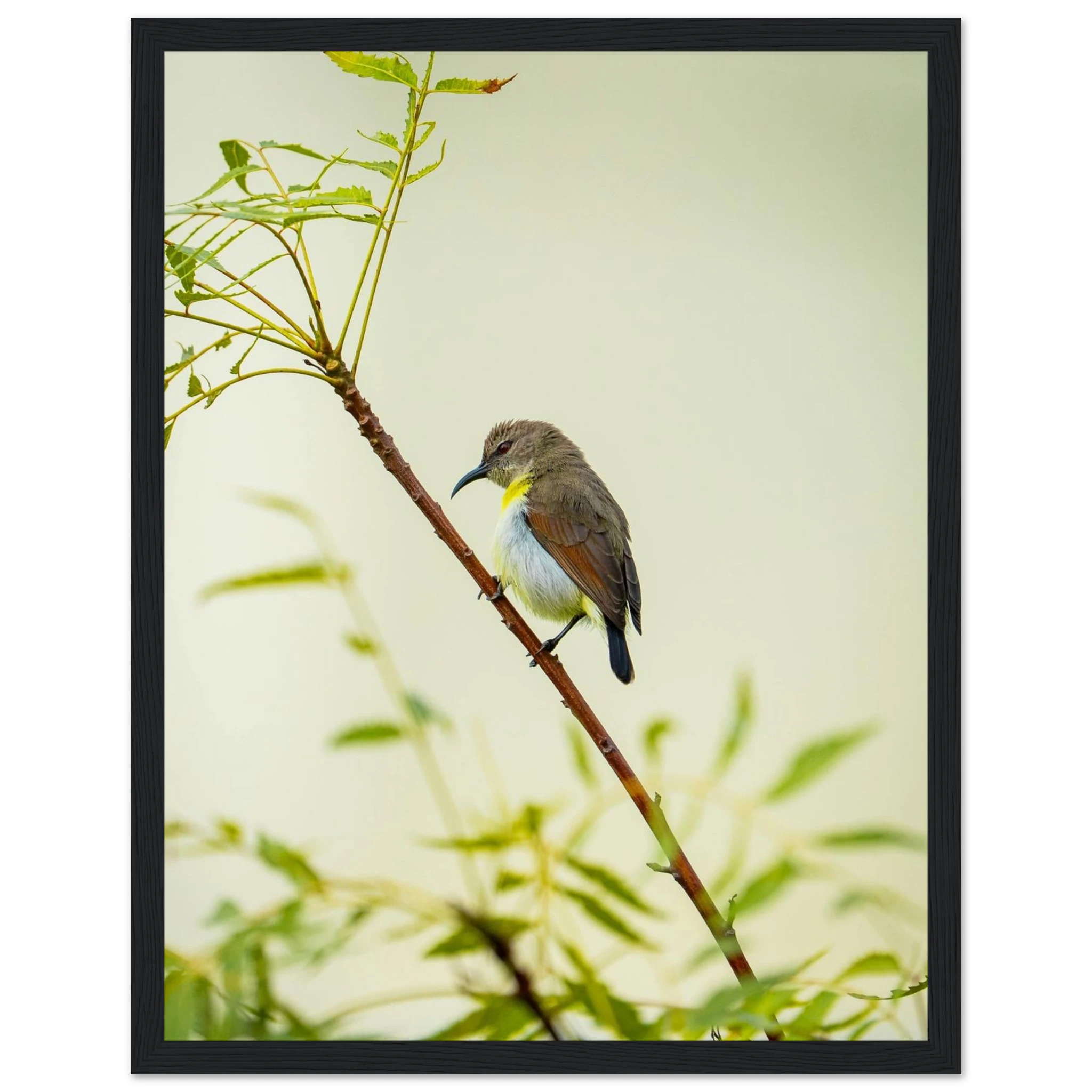 3281d9bb-5a53-4562-b379-4752172f35ad