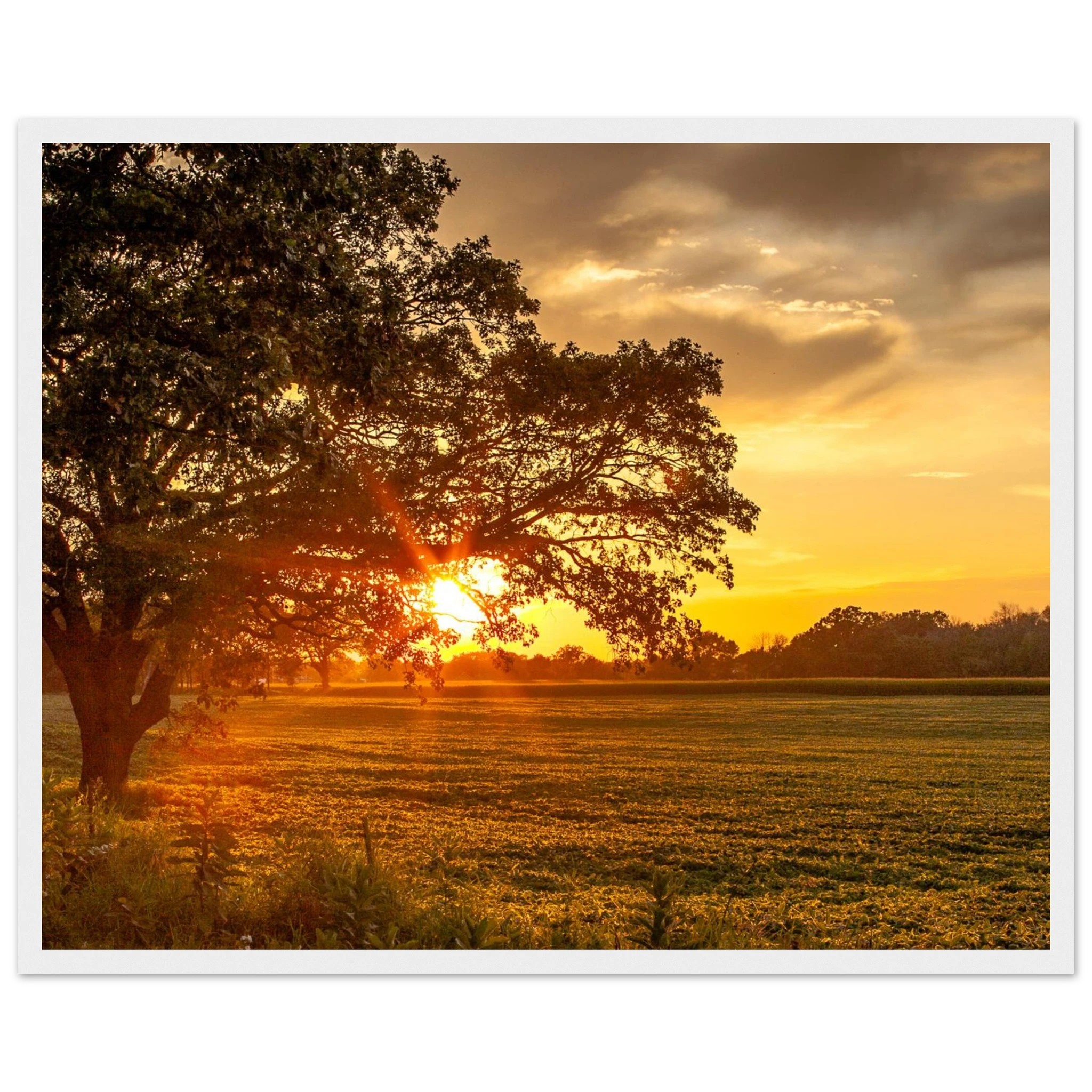 328863cf-0fb4-41fc-81e5-40faa2835e5e