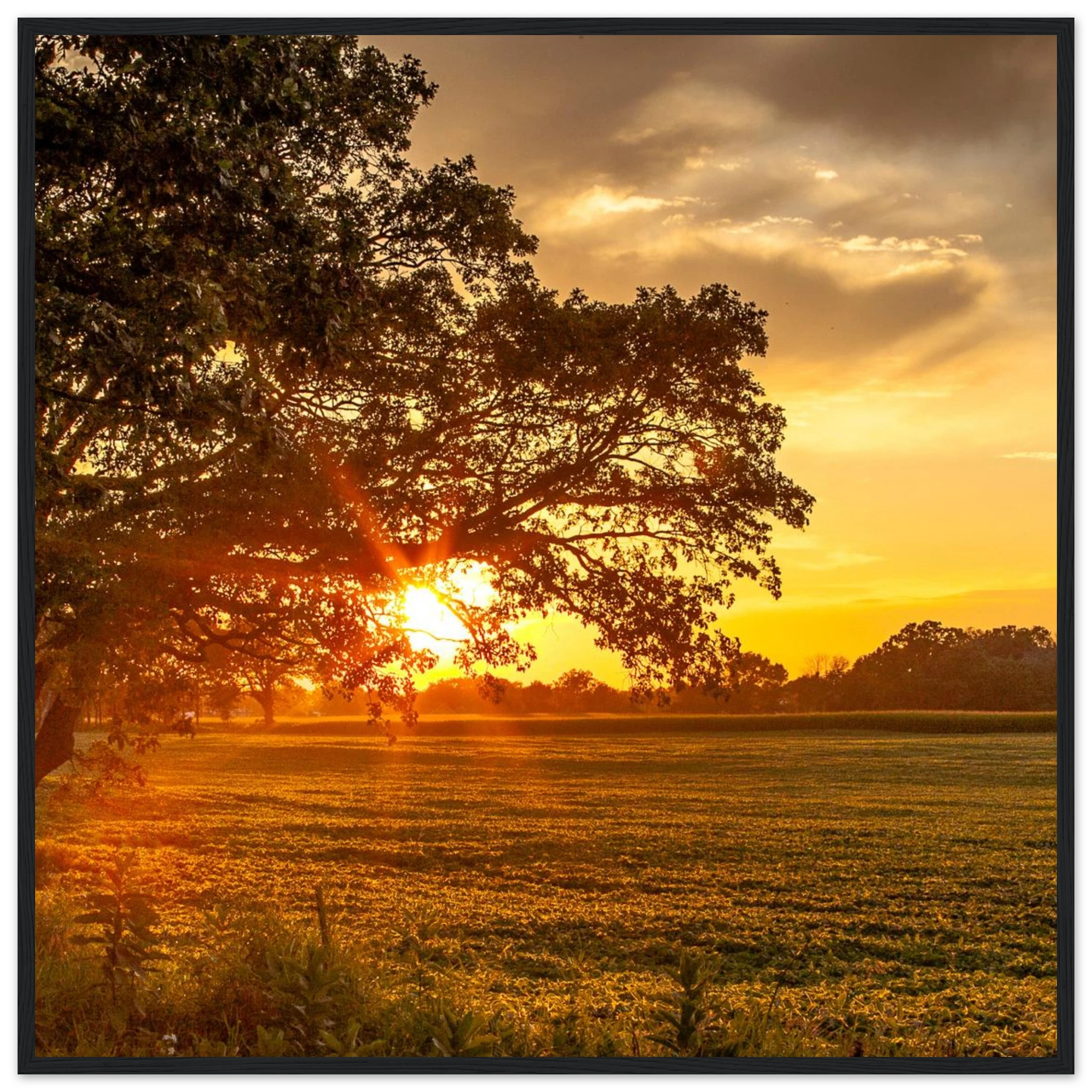 329e2203-0805-4bf2-812d-923abb5fe5bb