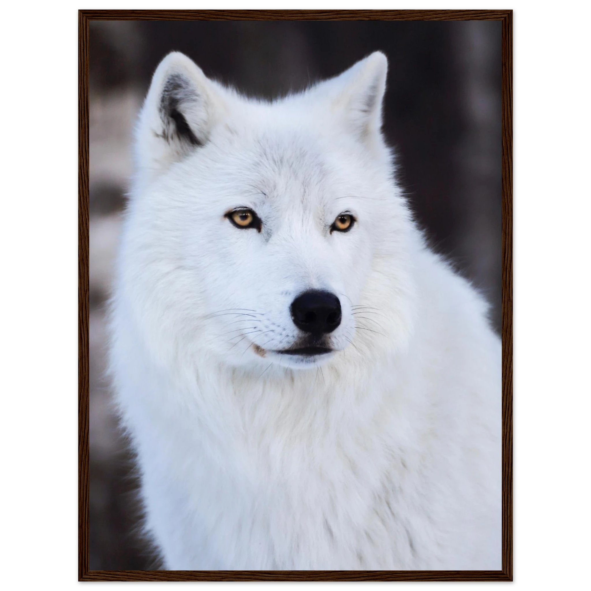 332a68ab-97a0-42c6-9964-c349b6e19985