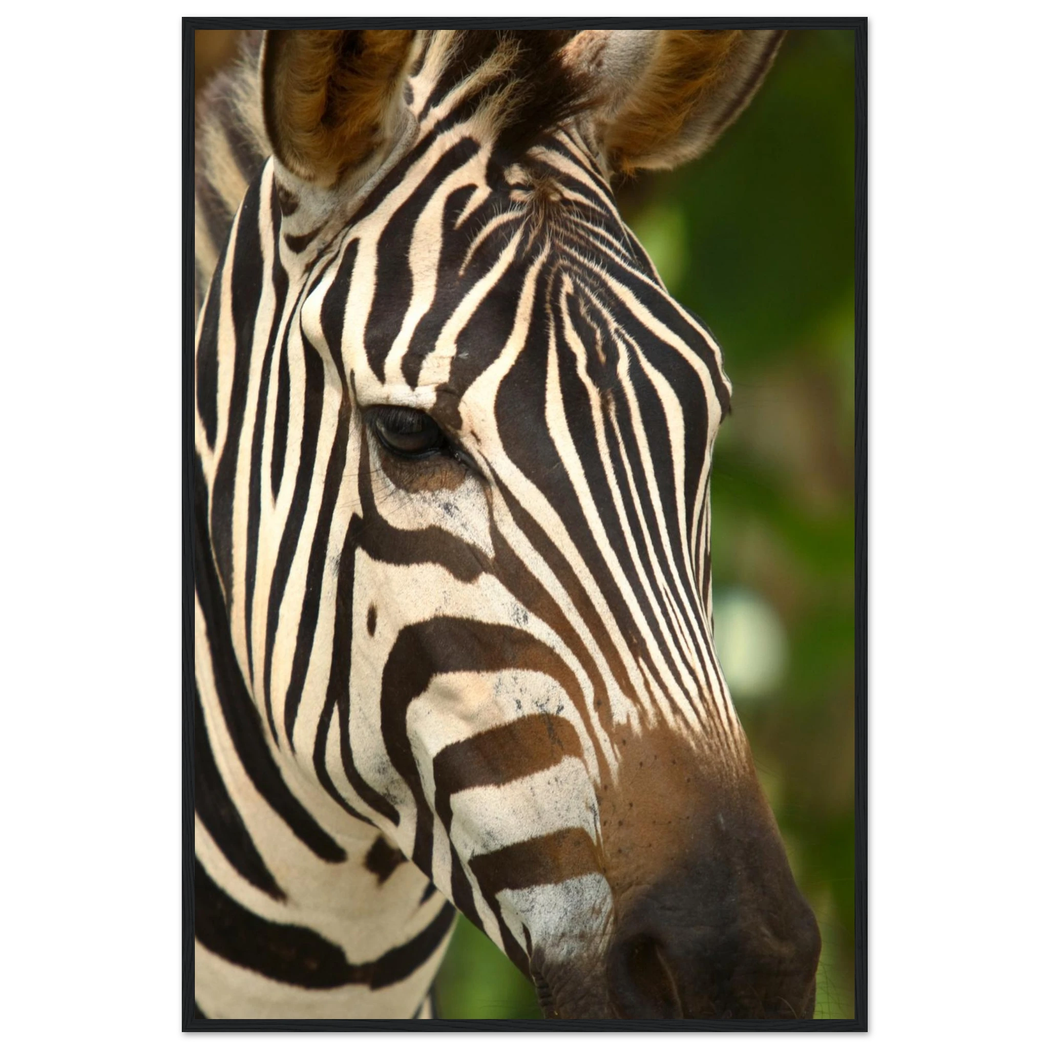 3335ab1e-6c1f-49fe-80d5-88fbcf6dd6ca