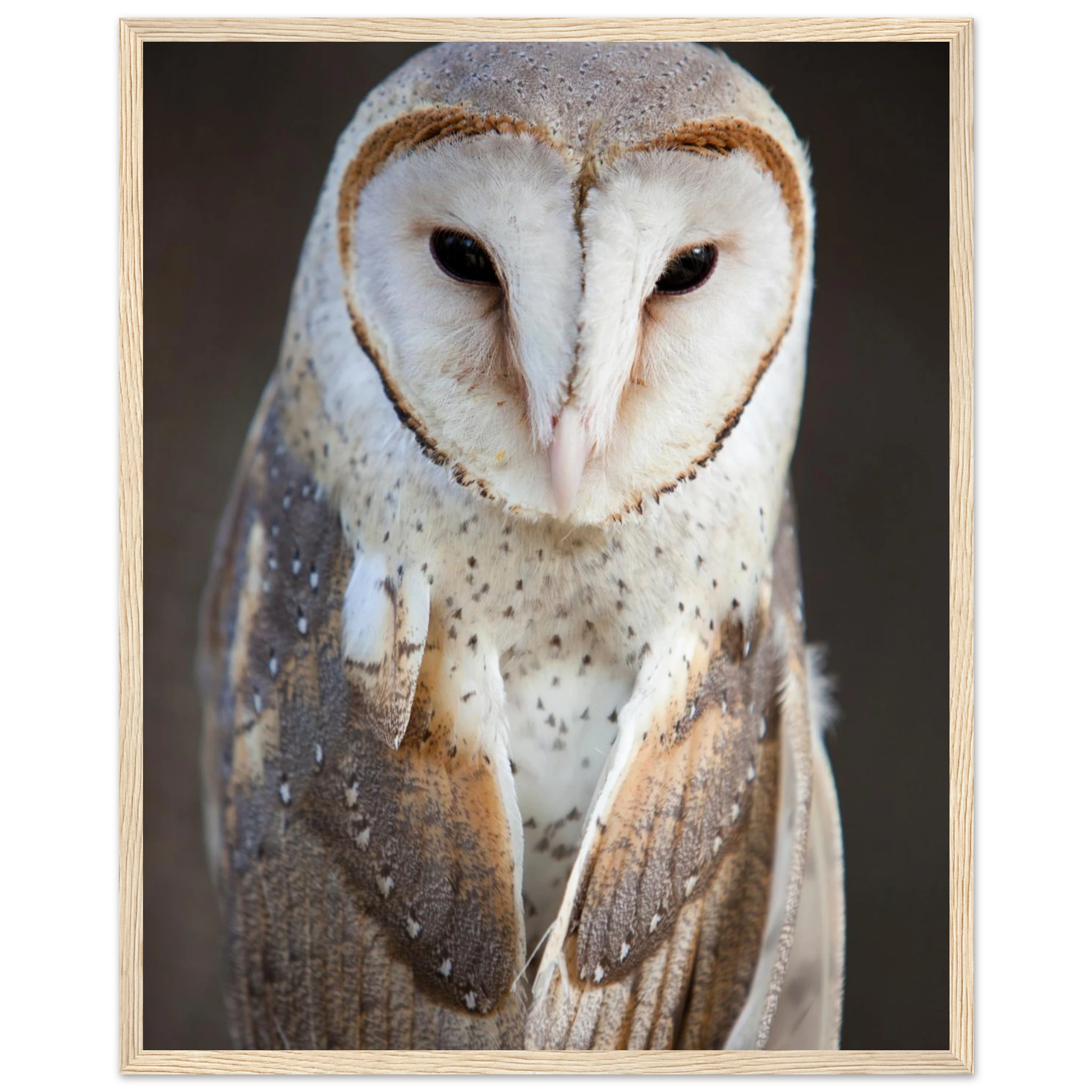 334087a8-611f-438e-8169-b3dda3282365