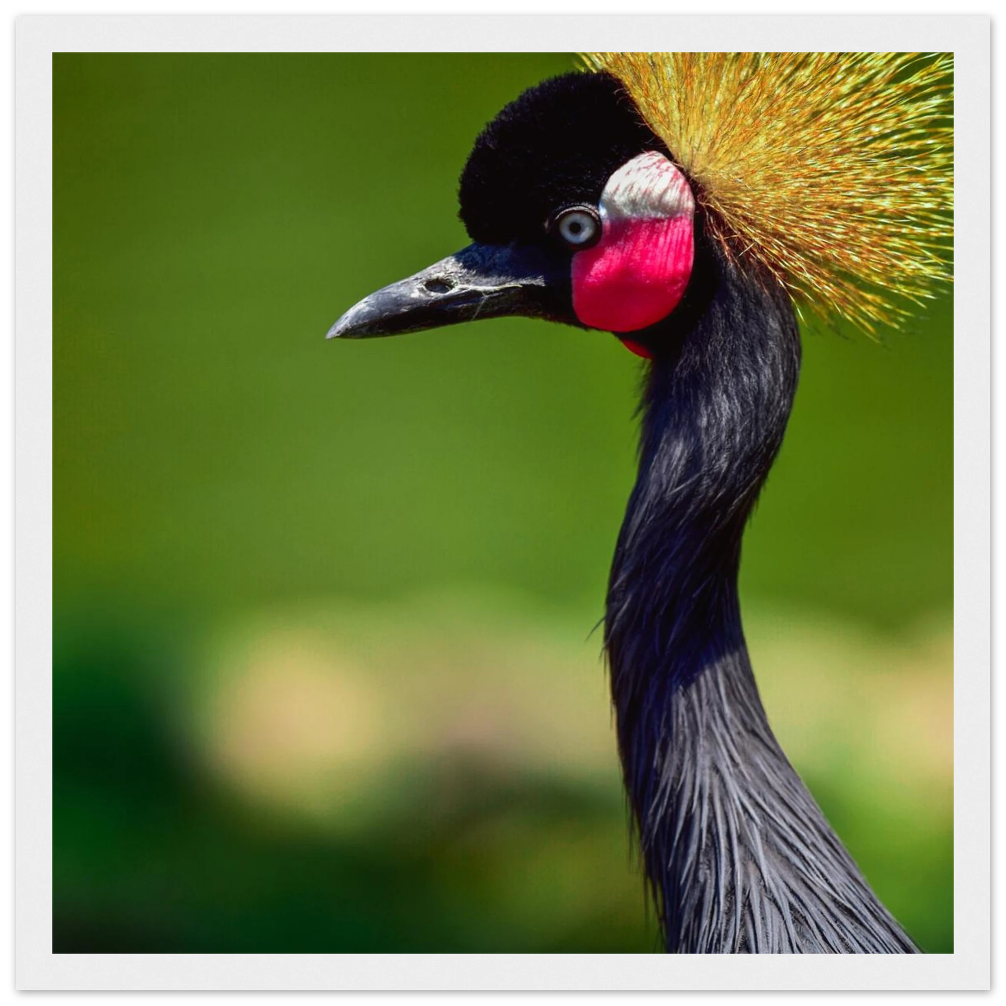 339be280-e99e-406e-ab40-f6babf2f257a