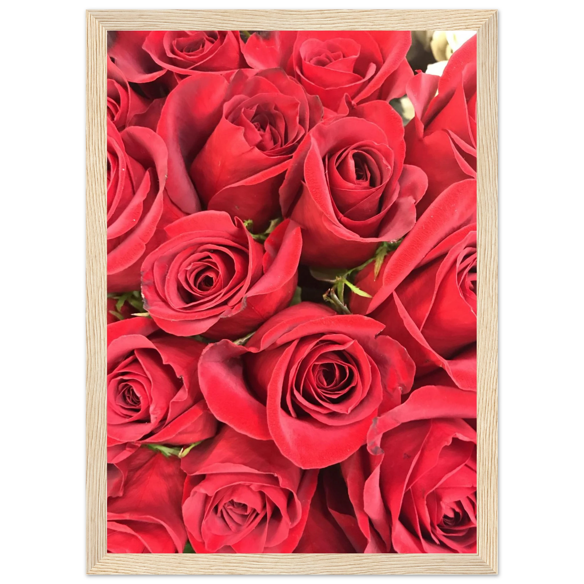 33d29238-88ca-4baf-be2e-551dcf7d1085